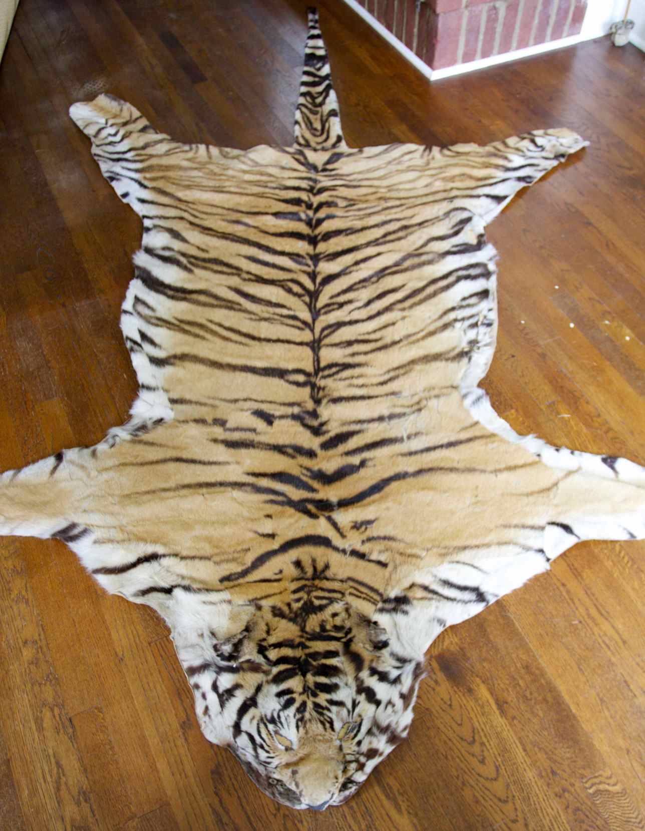 Genuine Indian Bengal Tiger Pelt Rug