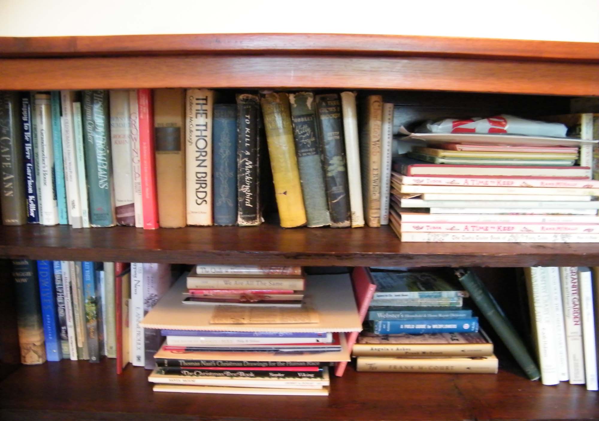 Two Shelves of Vintage, Tasha Tudor, and Modern Books