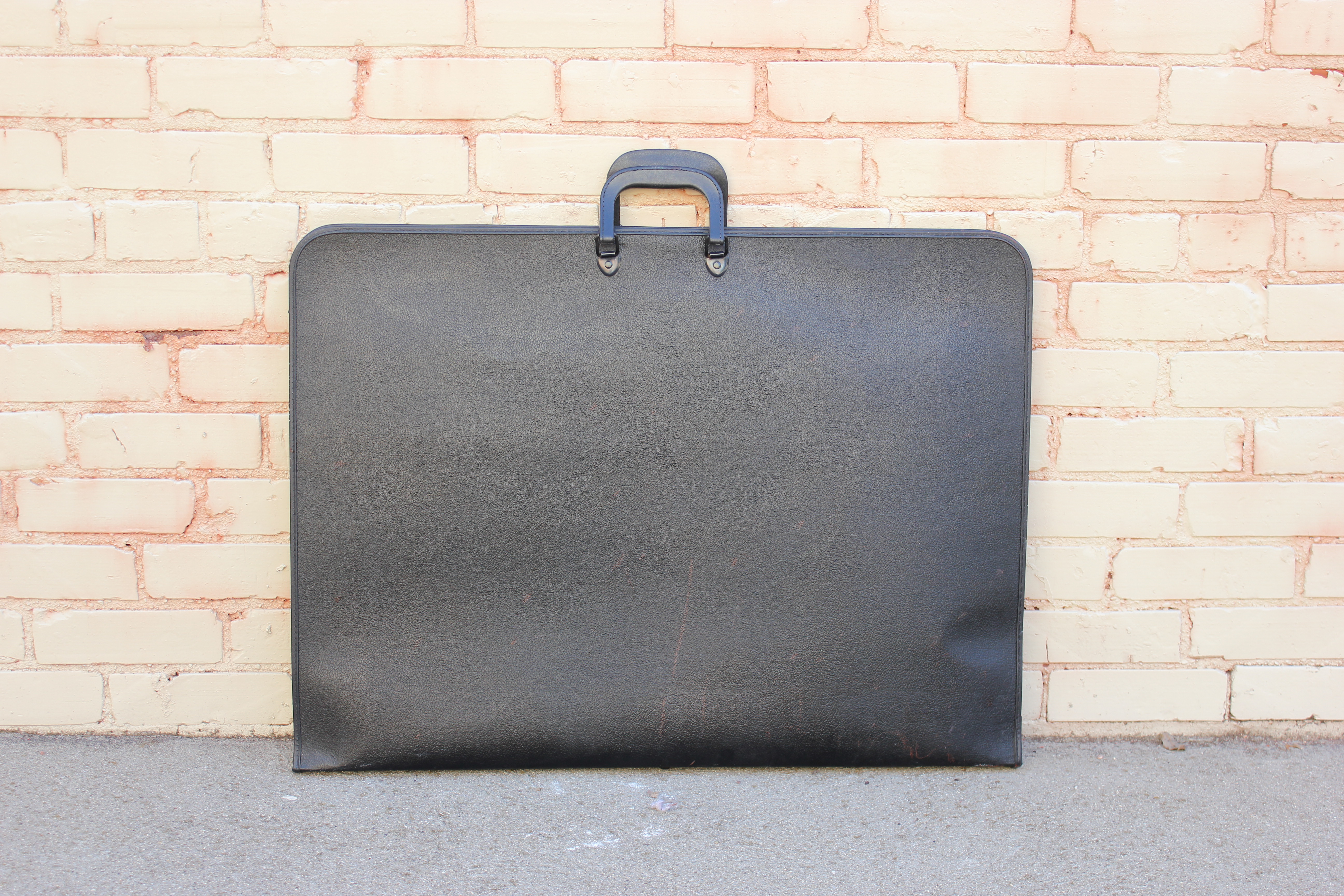Art Portfolio Carrying Case