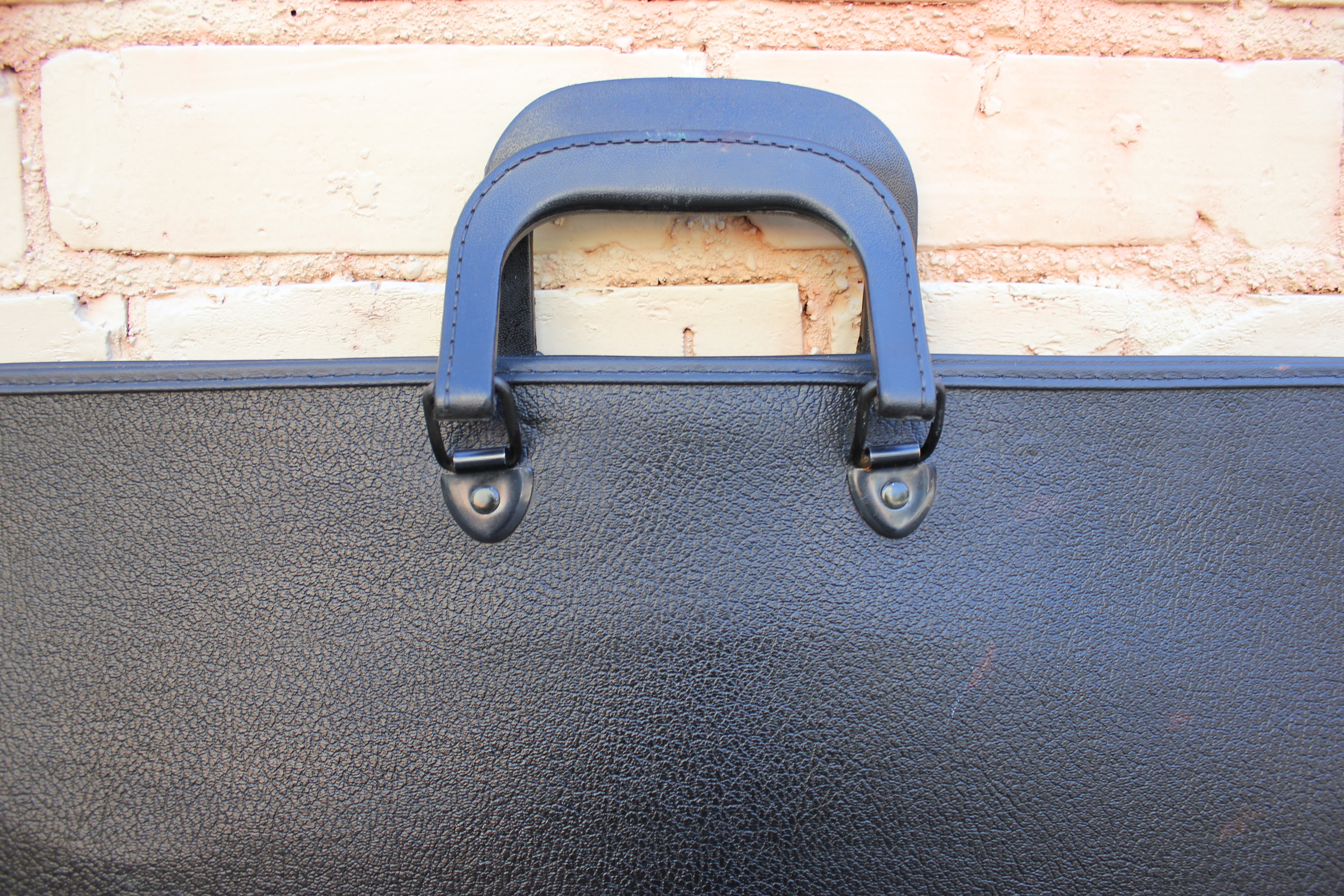 Art Portfolio Carrying Case