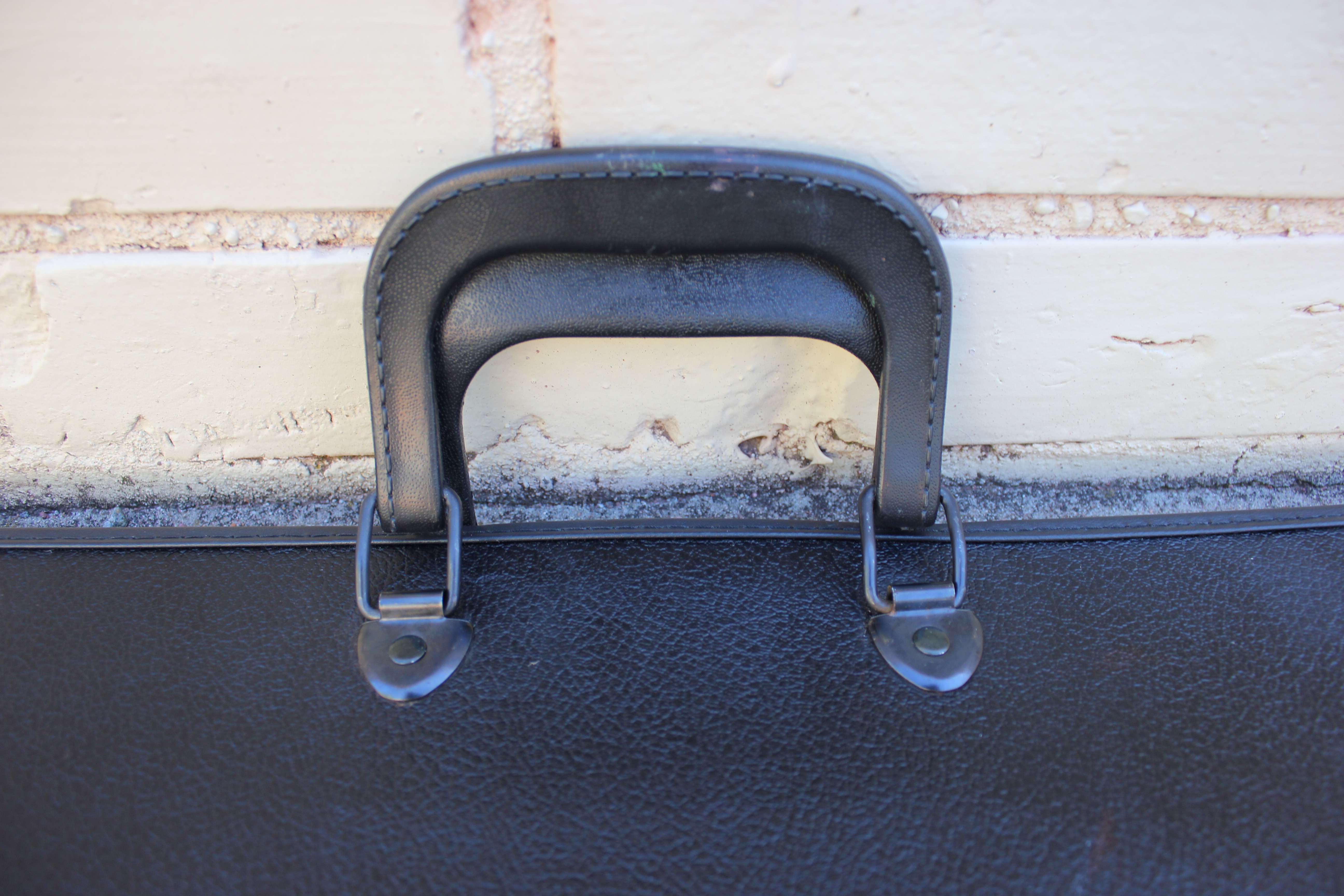 Art Portfolio Carrying Case