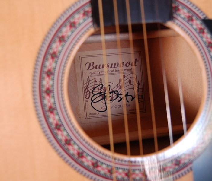 Burswood Elezan Acoustic Guitar  