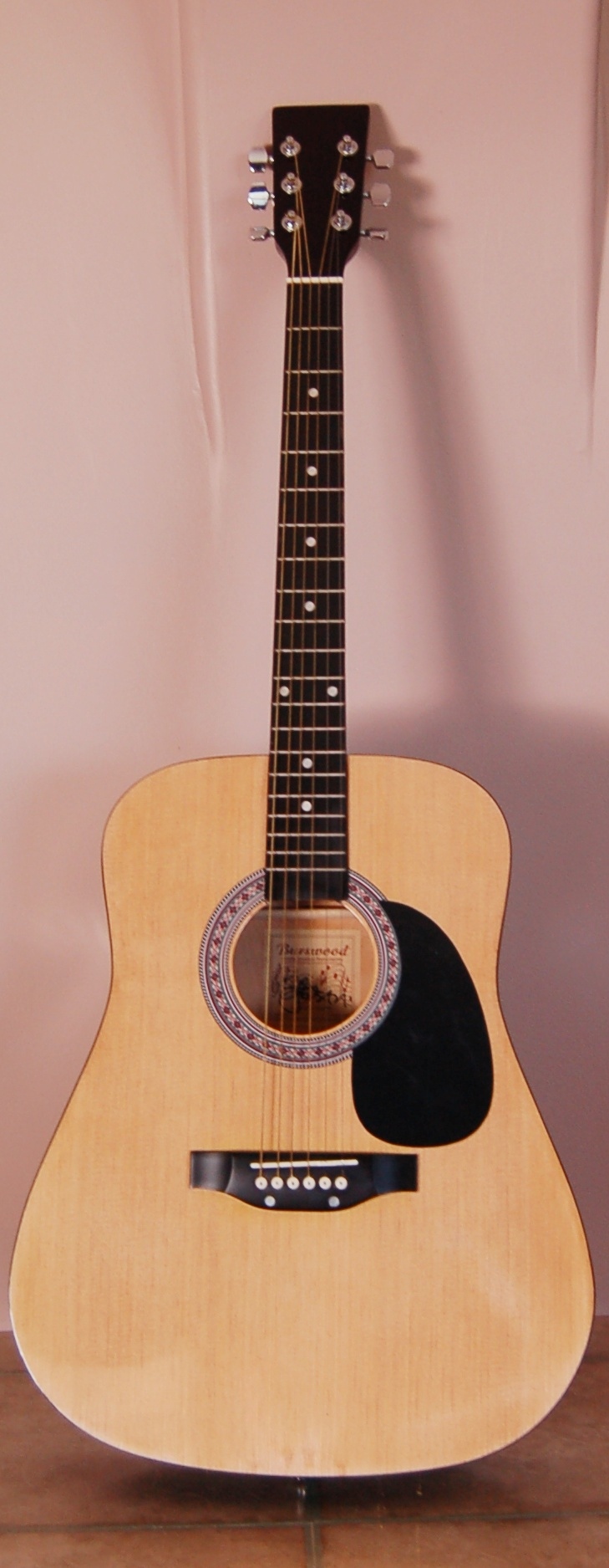 Burswood Elezan Acoustic Guitar  