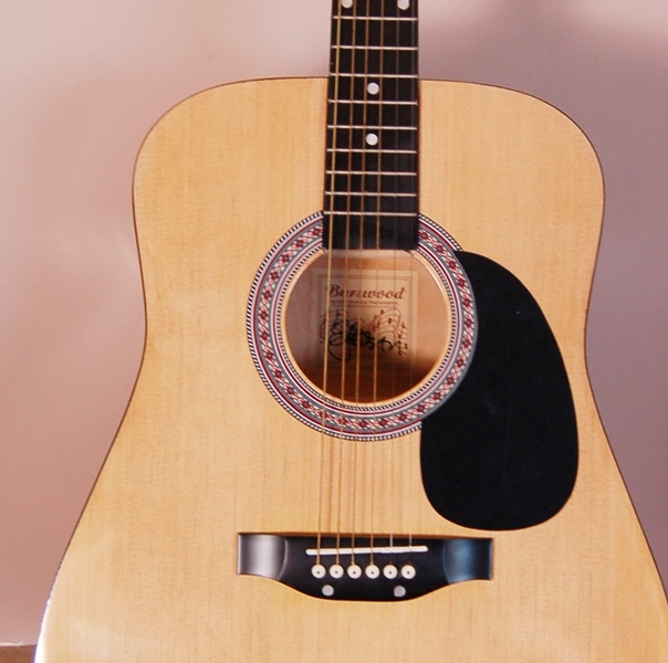 Burswood Elezan Acoustic Guitar  