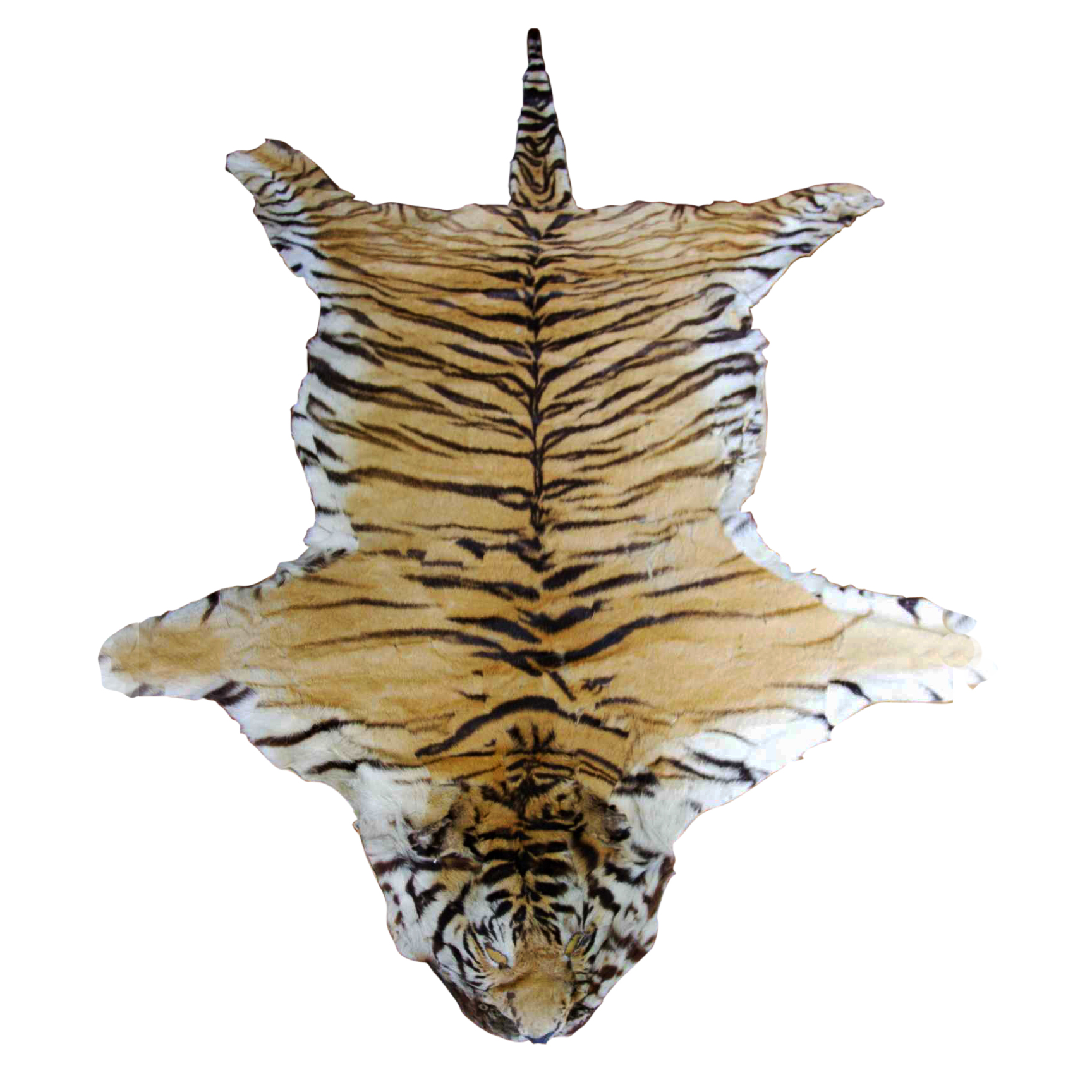 Genuine Indian Bengal Tiger Pelt Rug