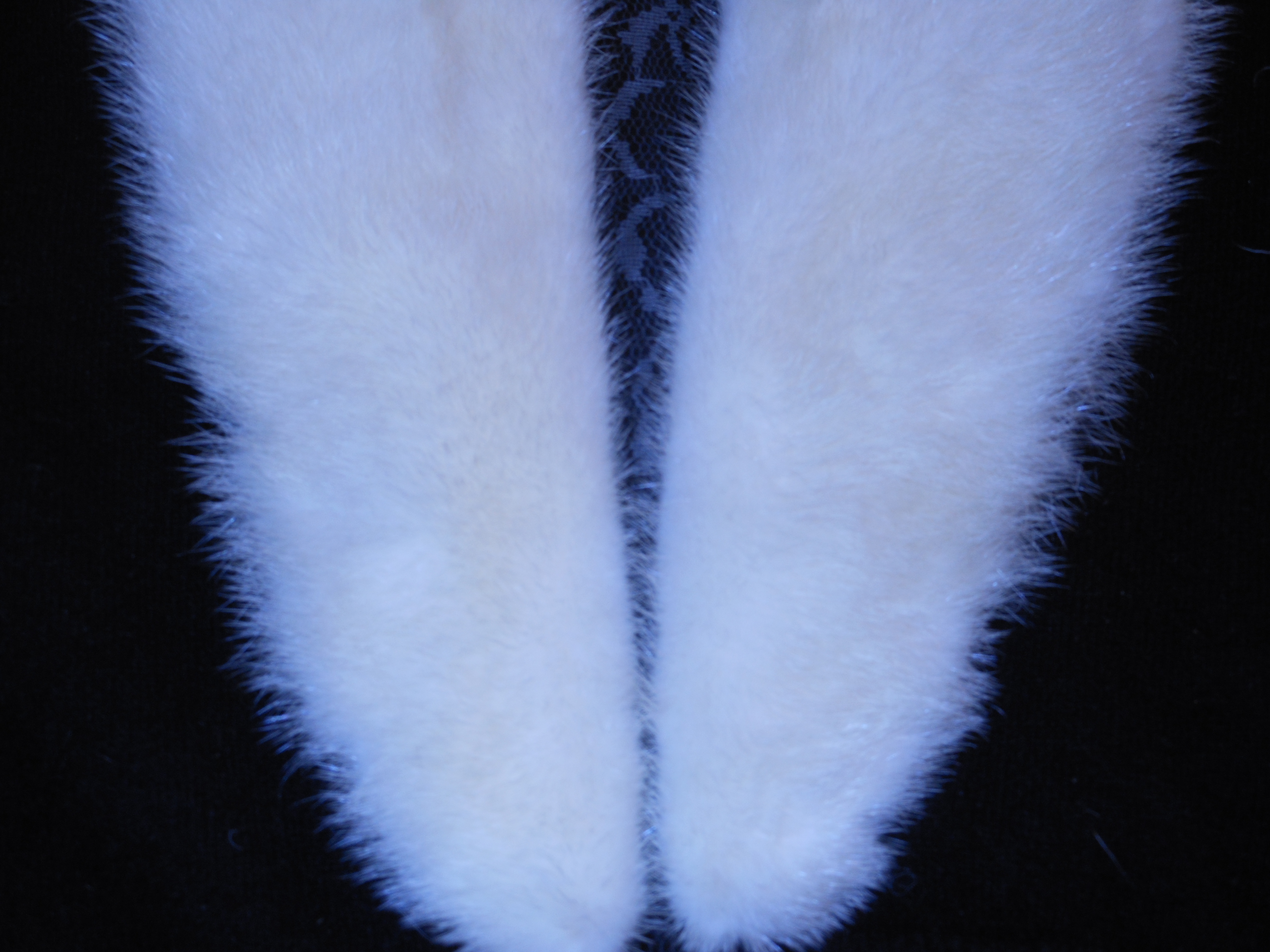 Black Sweater with White Mink Collar