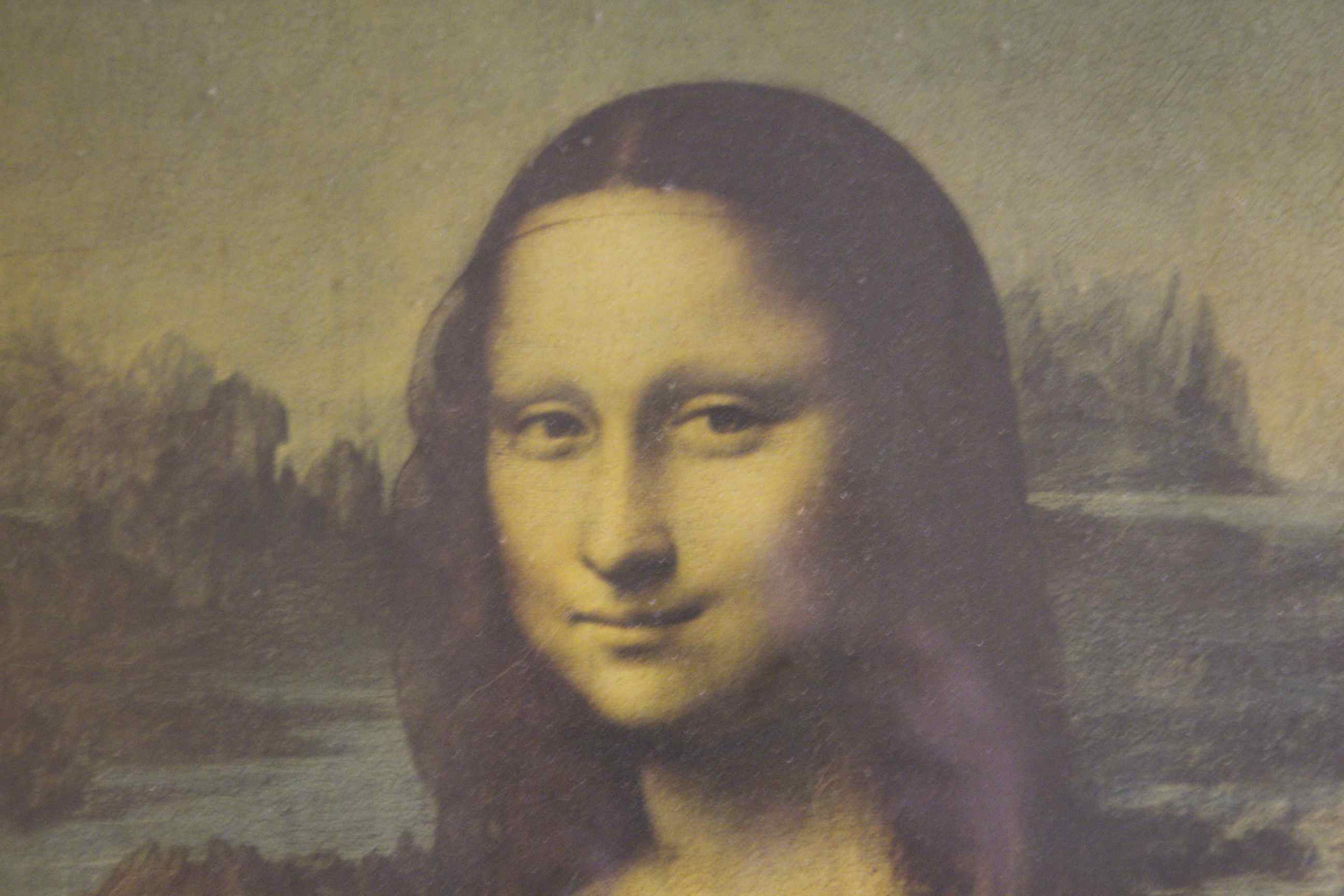Framed Mona Lisa Print
