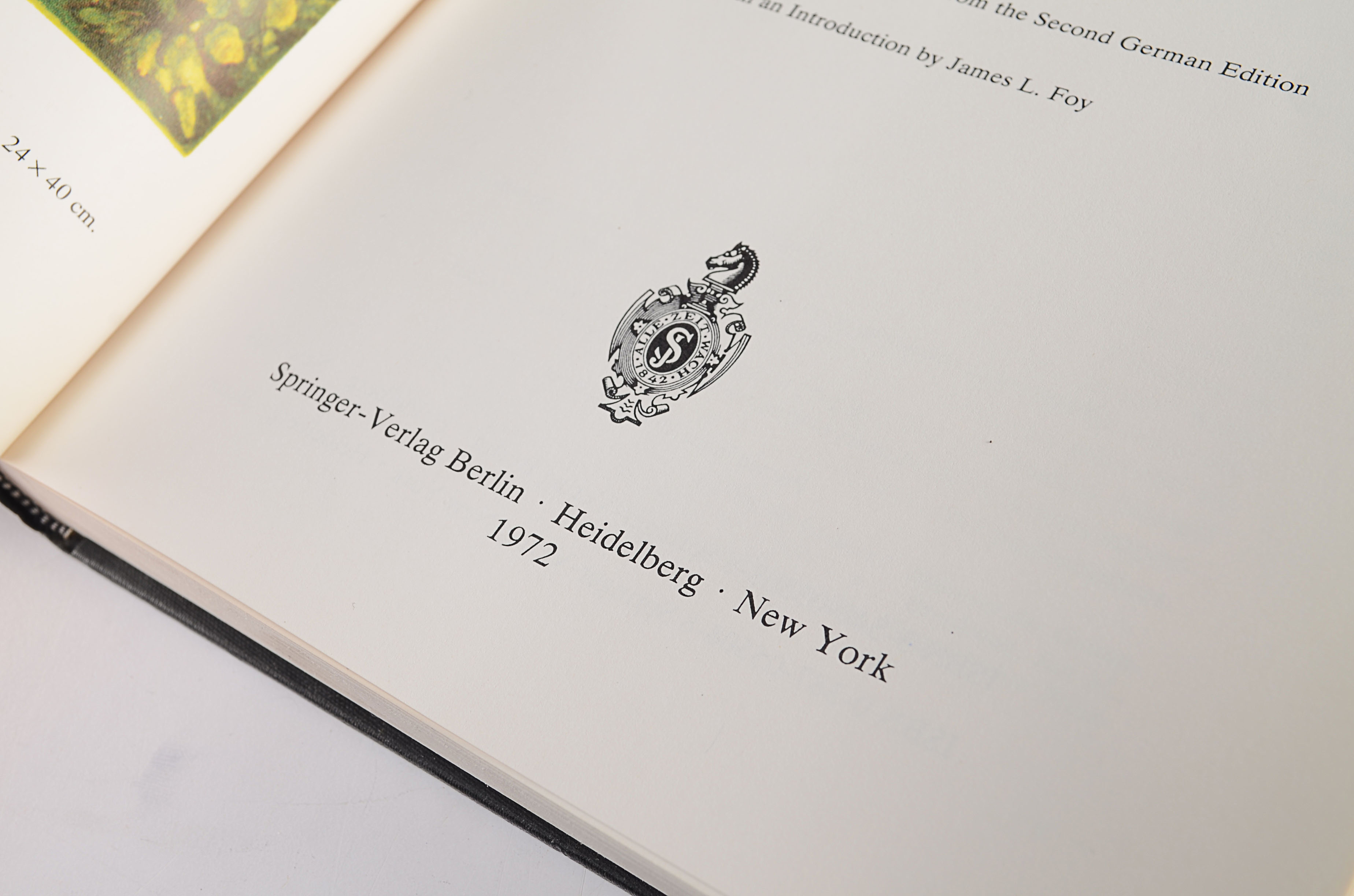 Book, Artistry of the Mentally Ill