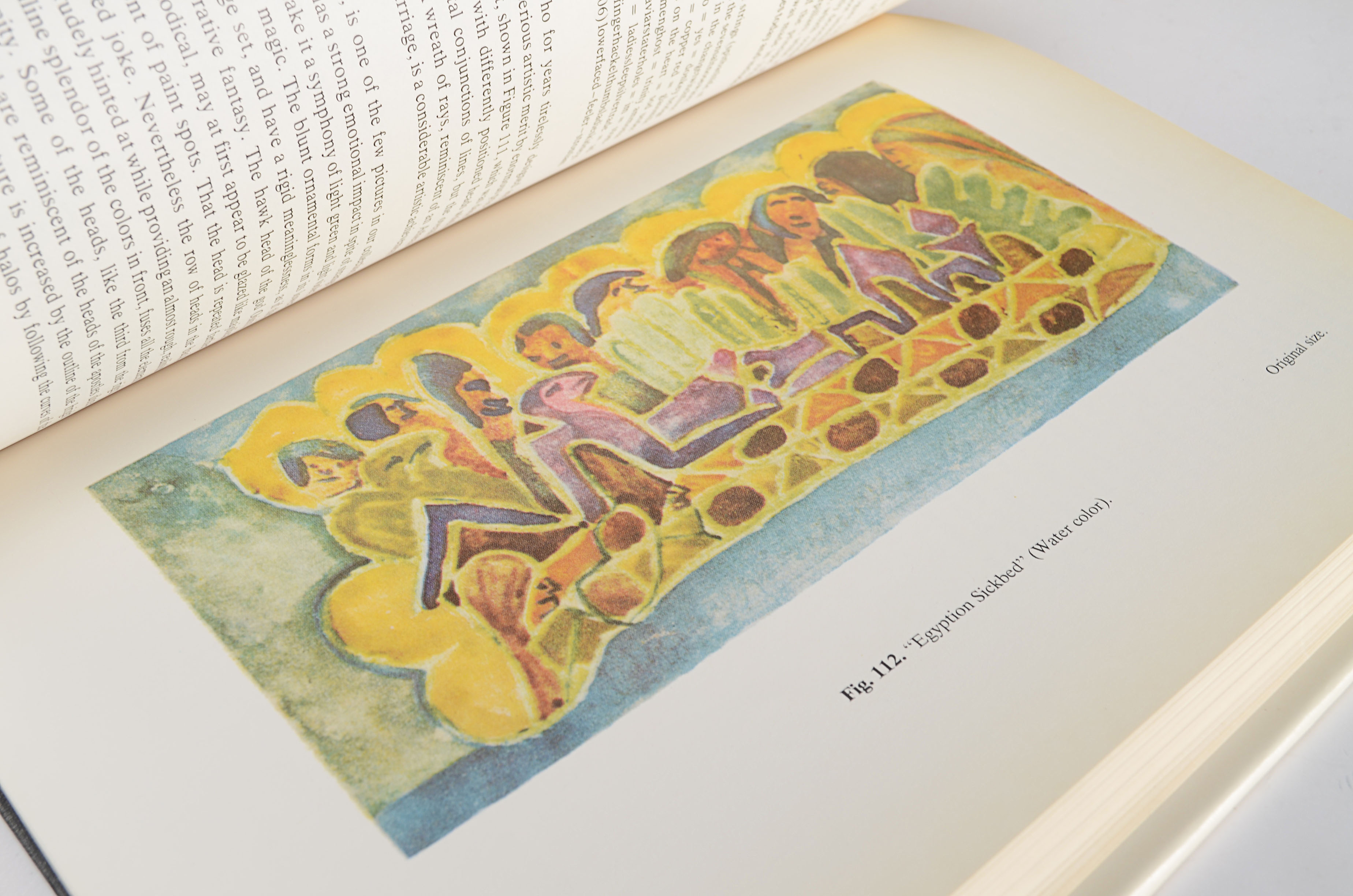 Book, Artistry of the Mentally Ill