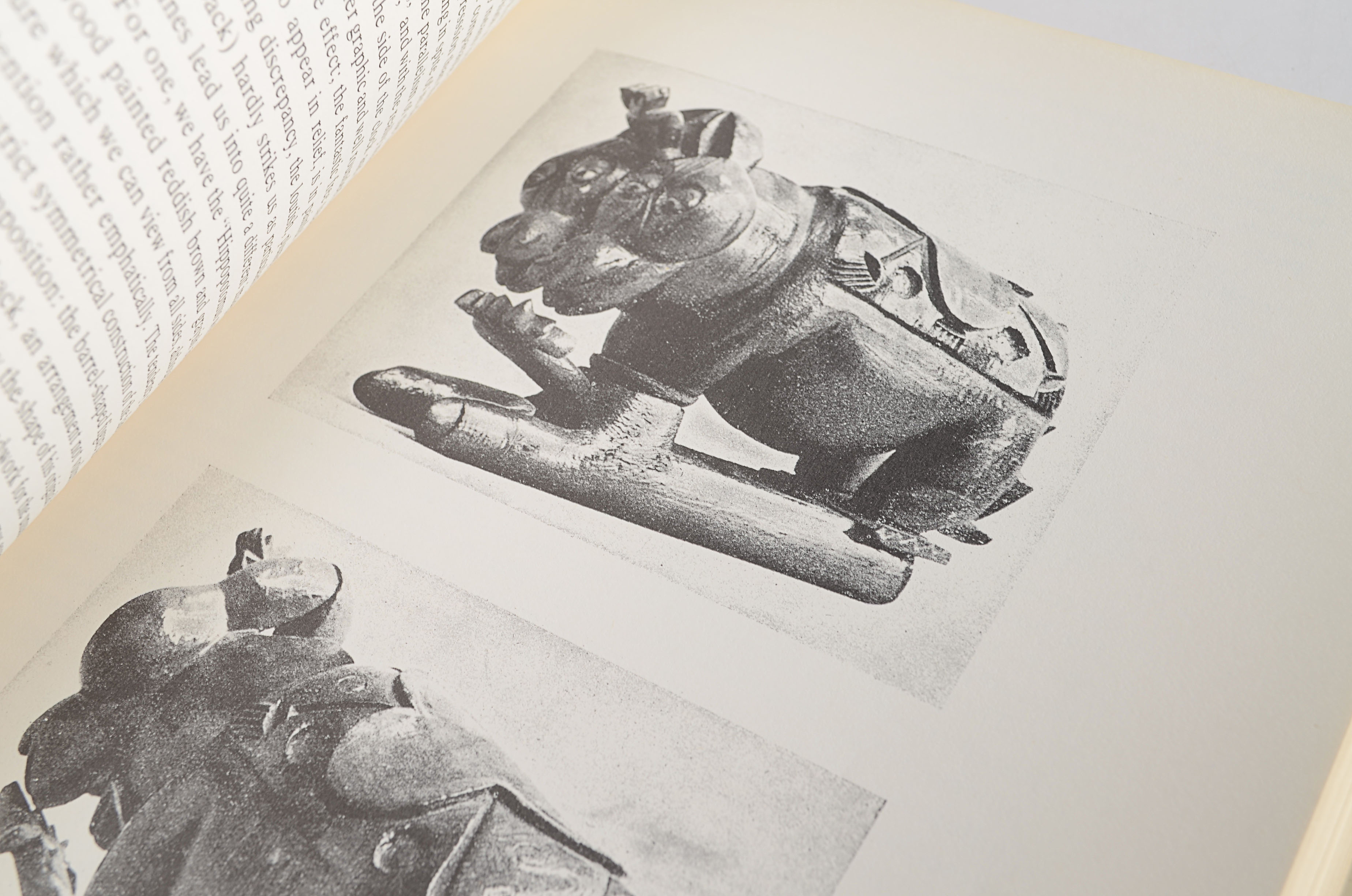 Book, Artistry of the Mentally Ill