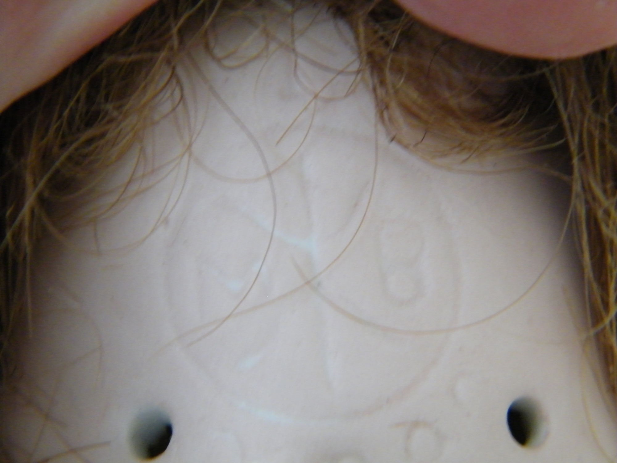 Morimura Bros. Japanese Bisque Doll