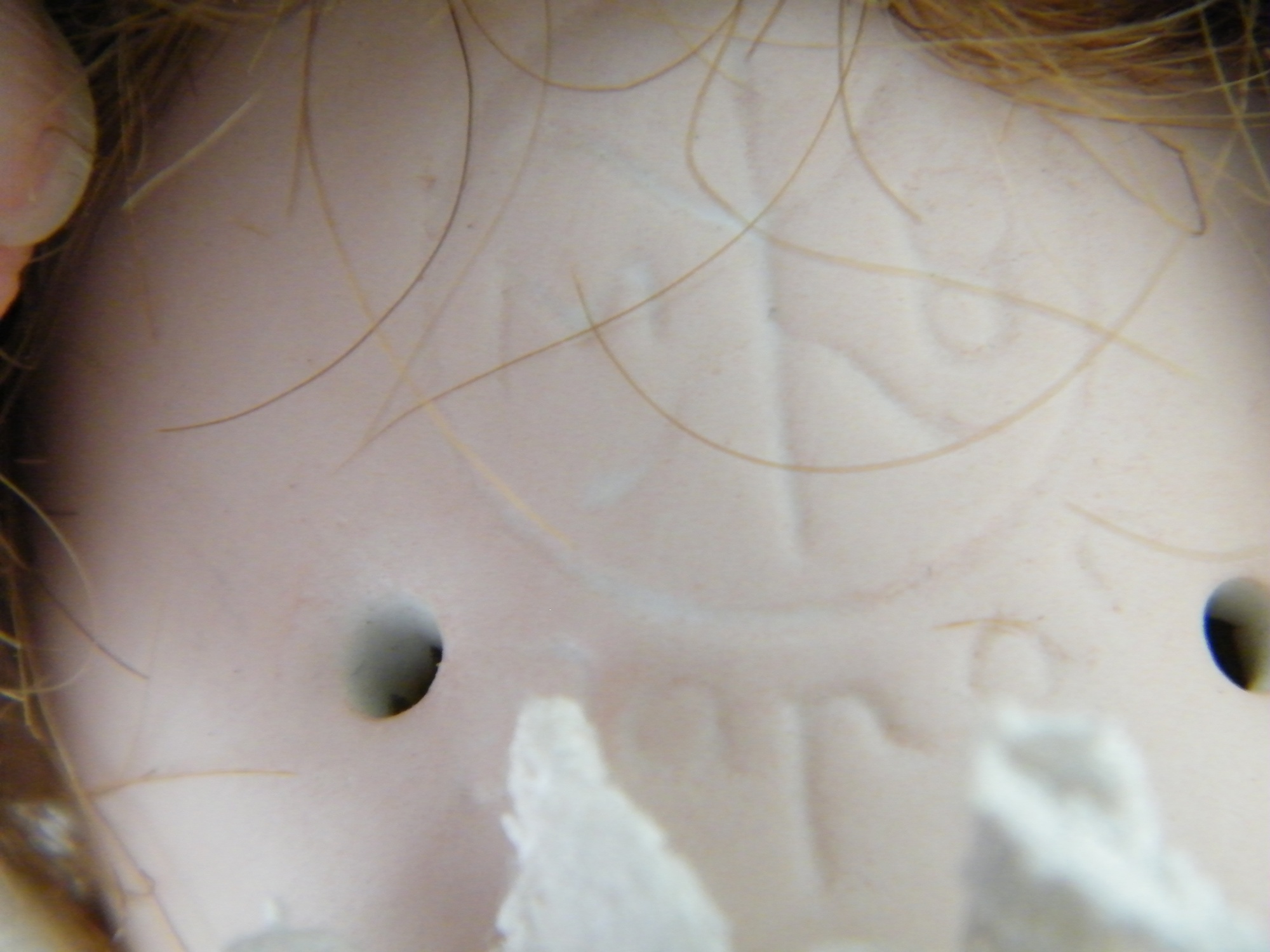 Morimura Bros. Japanese Bisque Doll