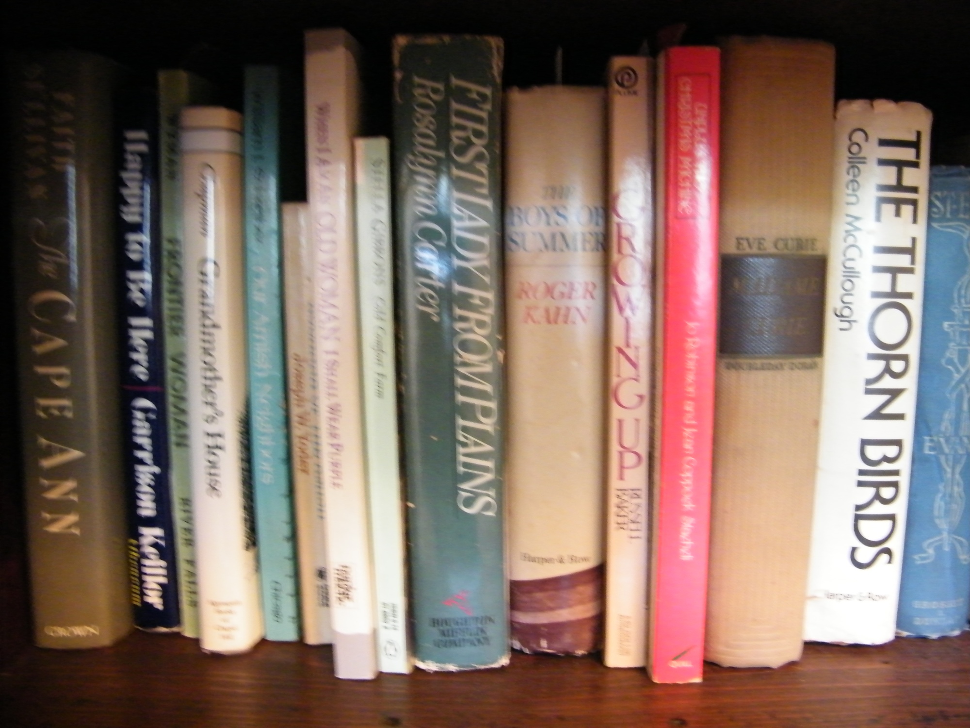 Two Shelves of Vintage, Tasha Tudor, and Modern Books