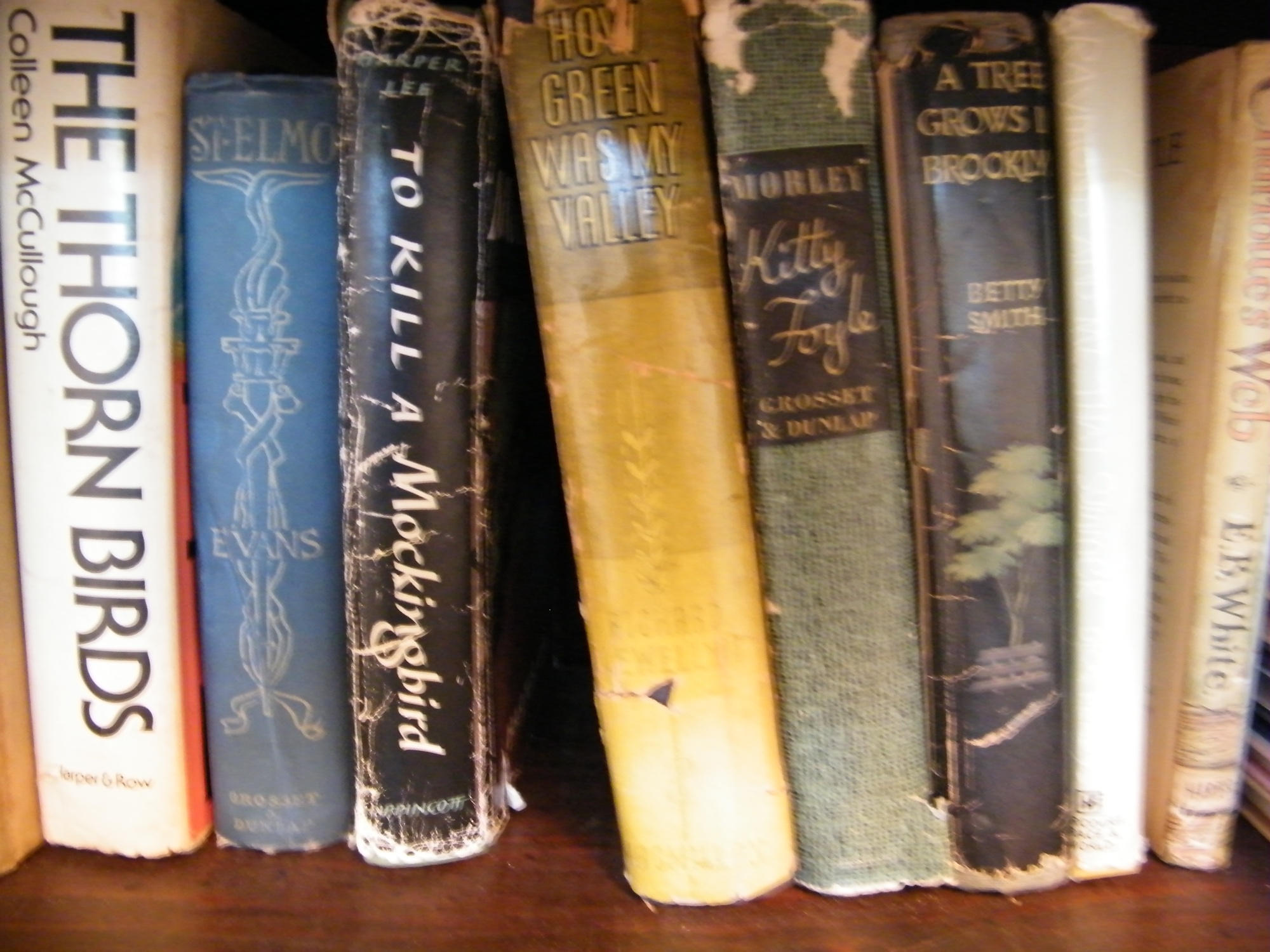 Two Shelves of Vintage, Tasha Tudor, and Modern Books