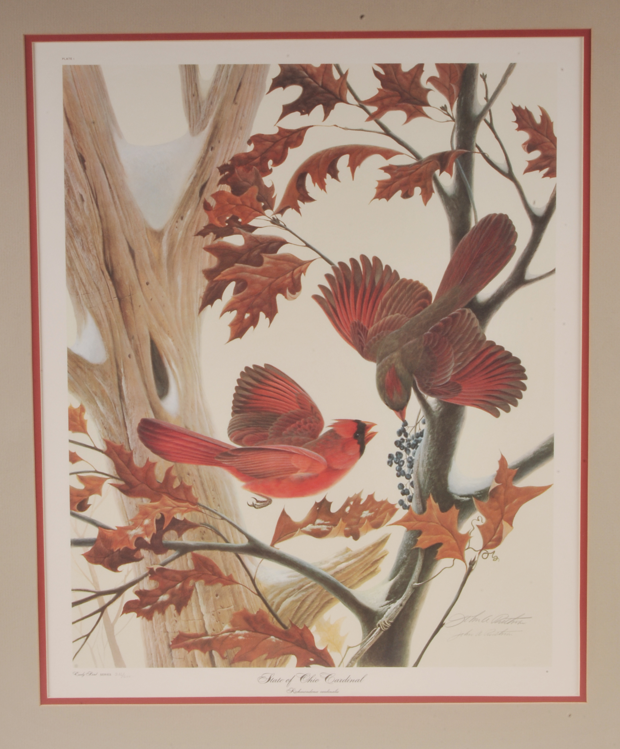 John A. Ruthven State of Ohio Cardinal