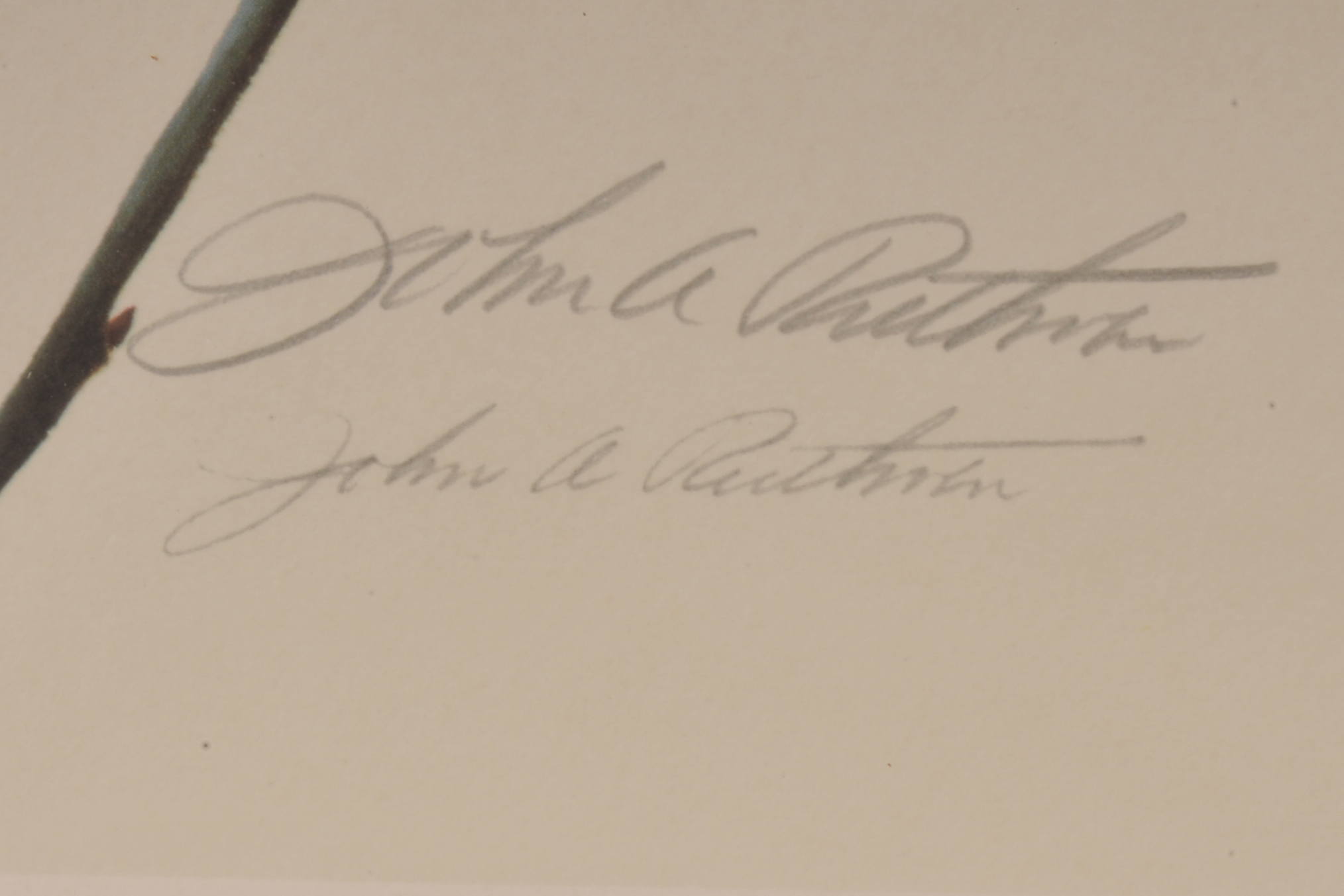 John A. Ruthven State of Ohio Cardinal