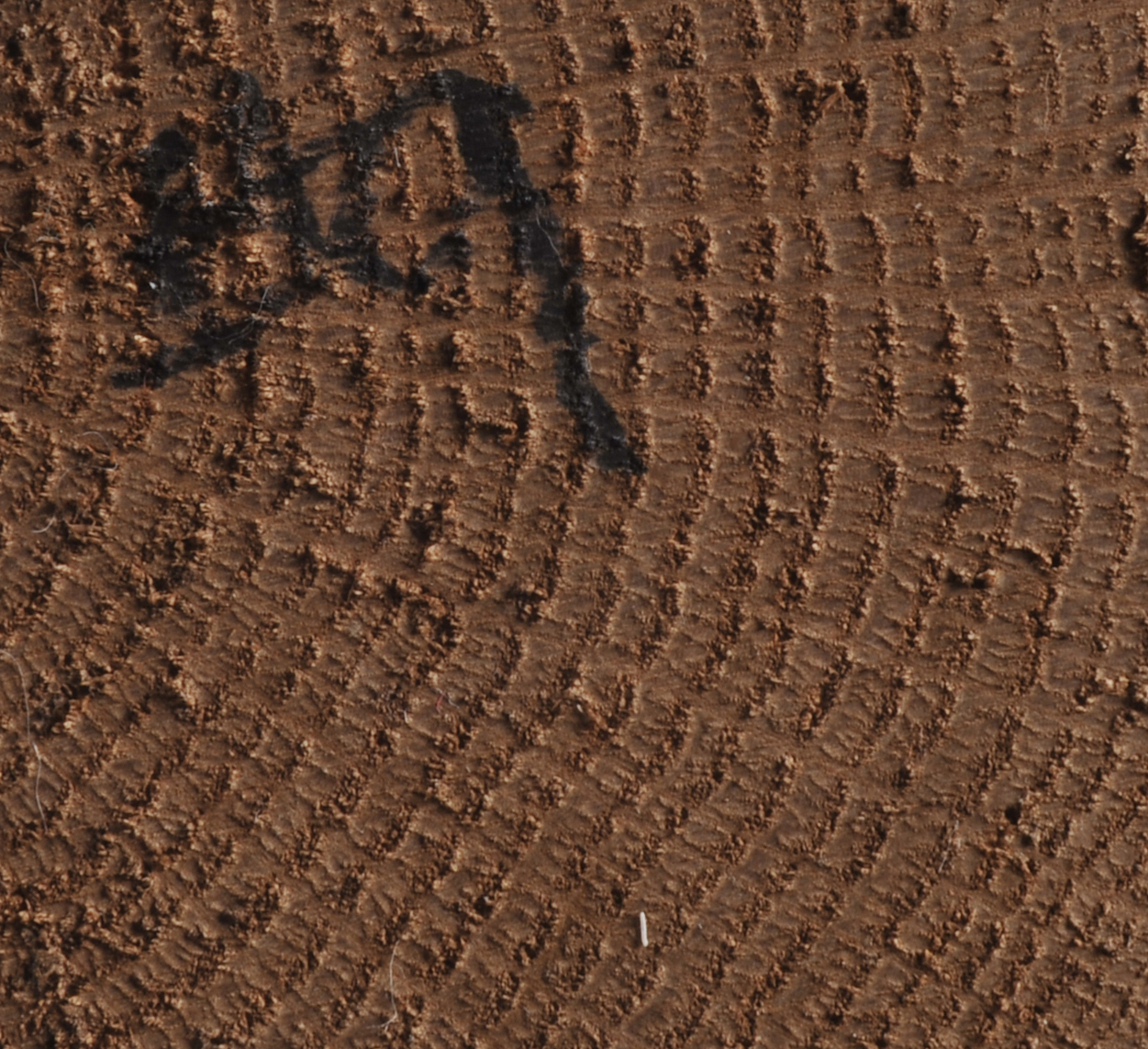 Grouping of 6 Hand Carved Will Kirkpatrick Shorebirds