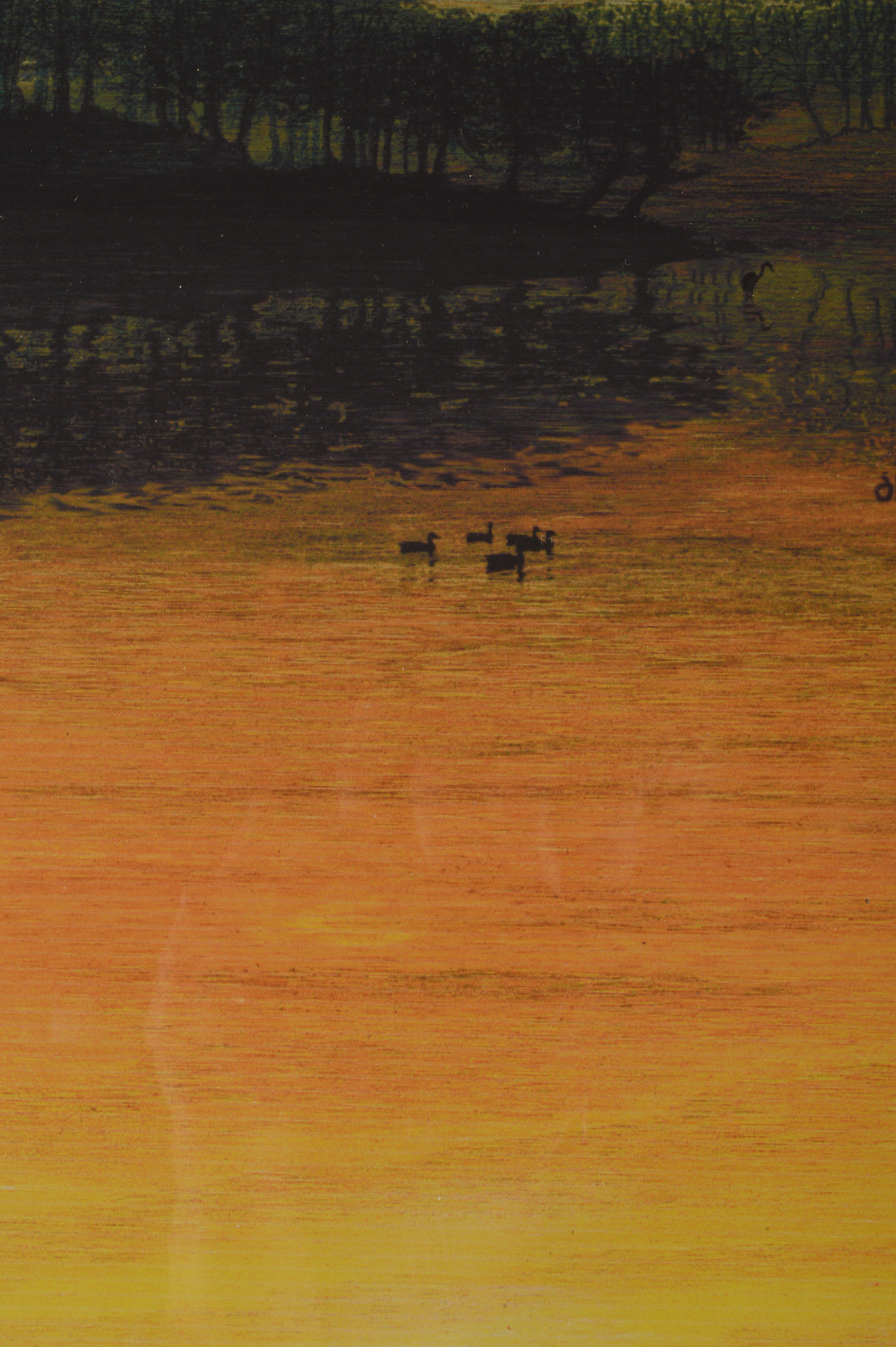 D. Kreider "On Golden Pond" Framed & Signed Print