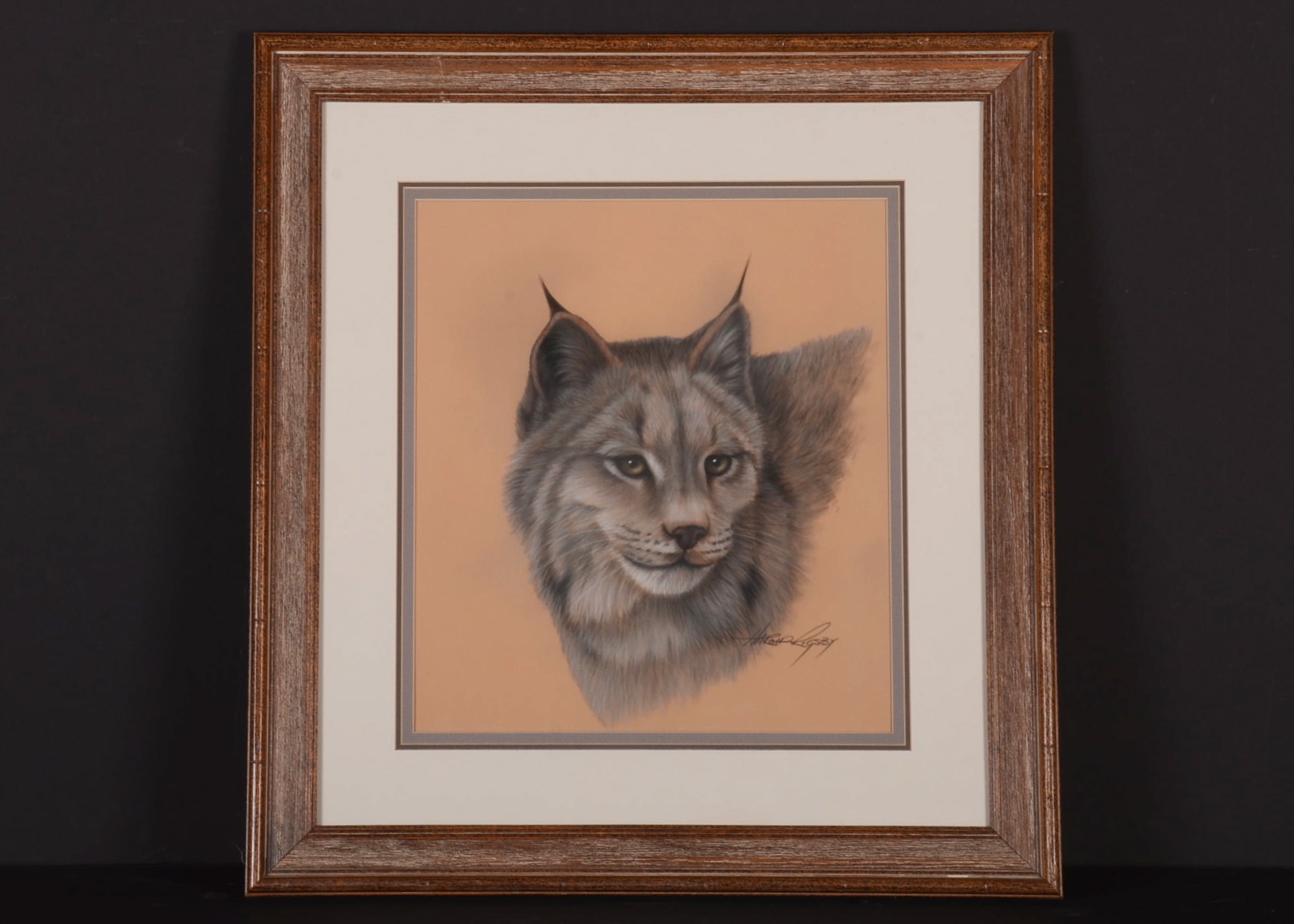 Original Chalk Drawing "Bobcat" by Harold Rigsby