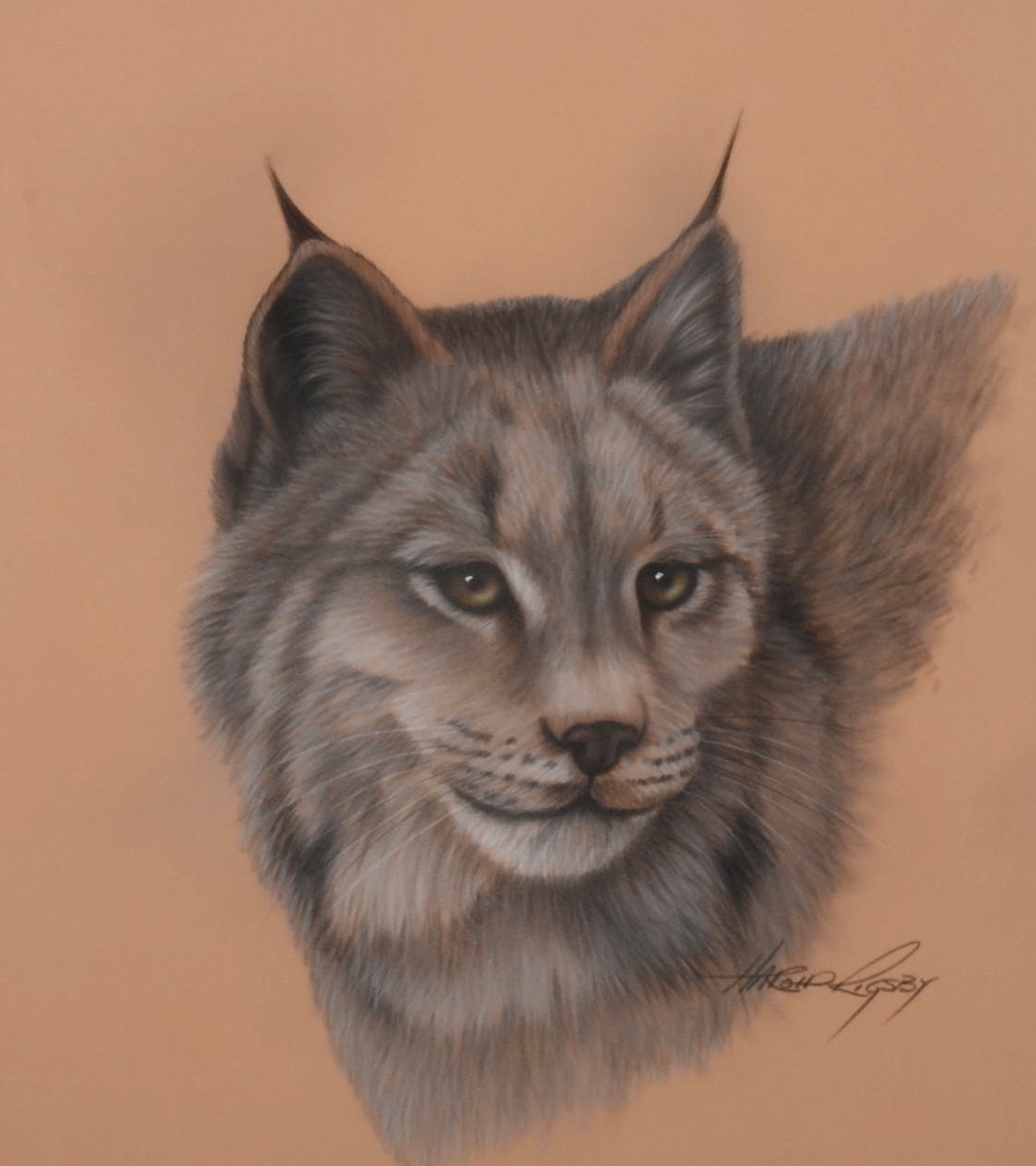 Original Chalk Drawing "Bobcat" by Harold Rigsby