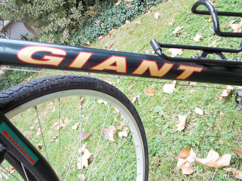 Vintage Nishiki 10 Speed Mens Touring Bike and Two Vintage Bikes