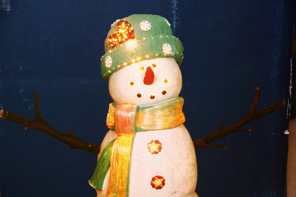 Fiber Optic Snowman