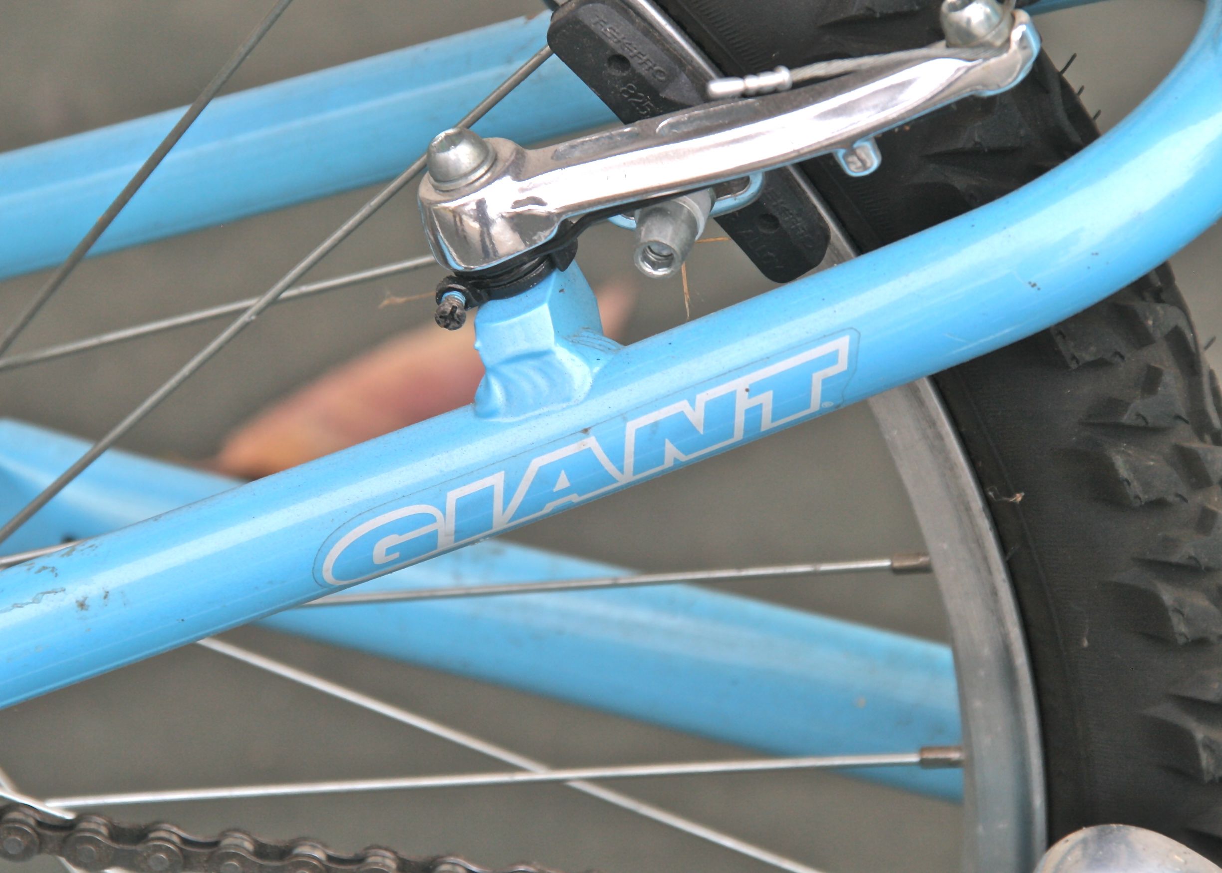 Giant MTX 225 Youth Bicycle