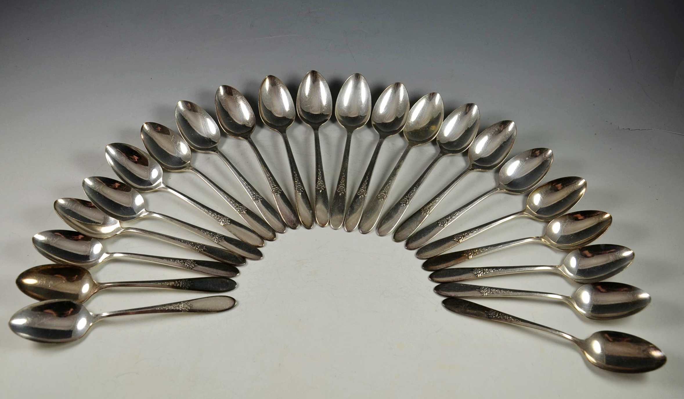 Oneida Tudor Plate 'Fantasy" Flatware Set