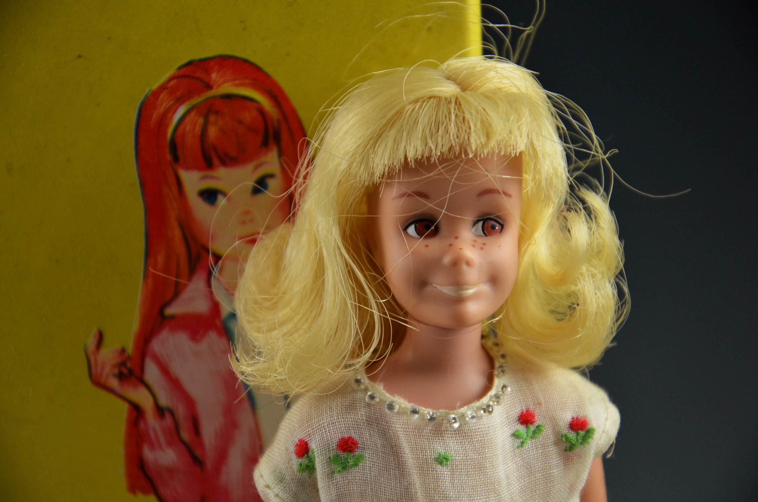 Skooter Doll, Skipper Case and Skipper Clothing