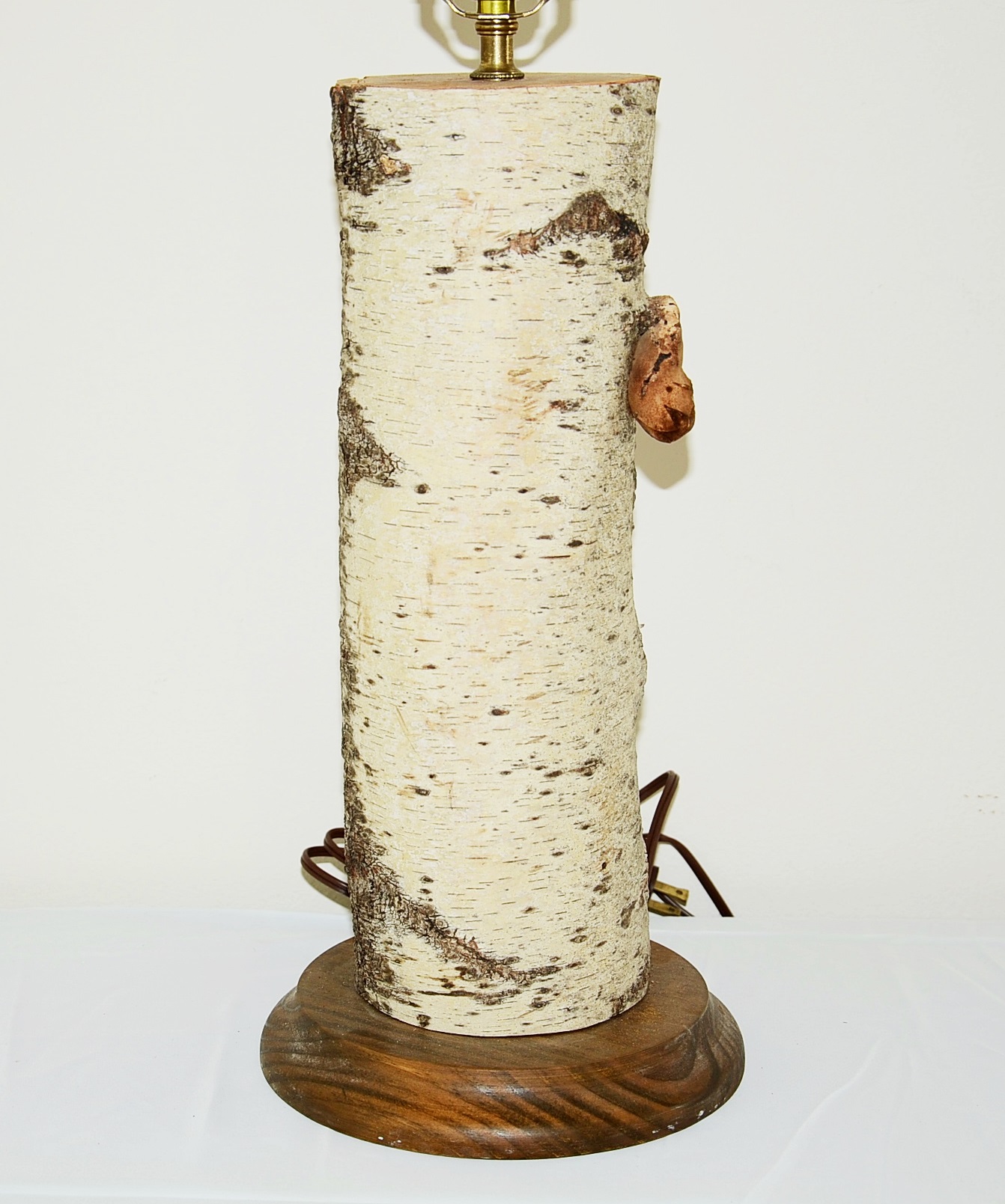 Birch Log Lamp