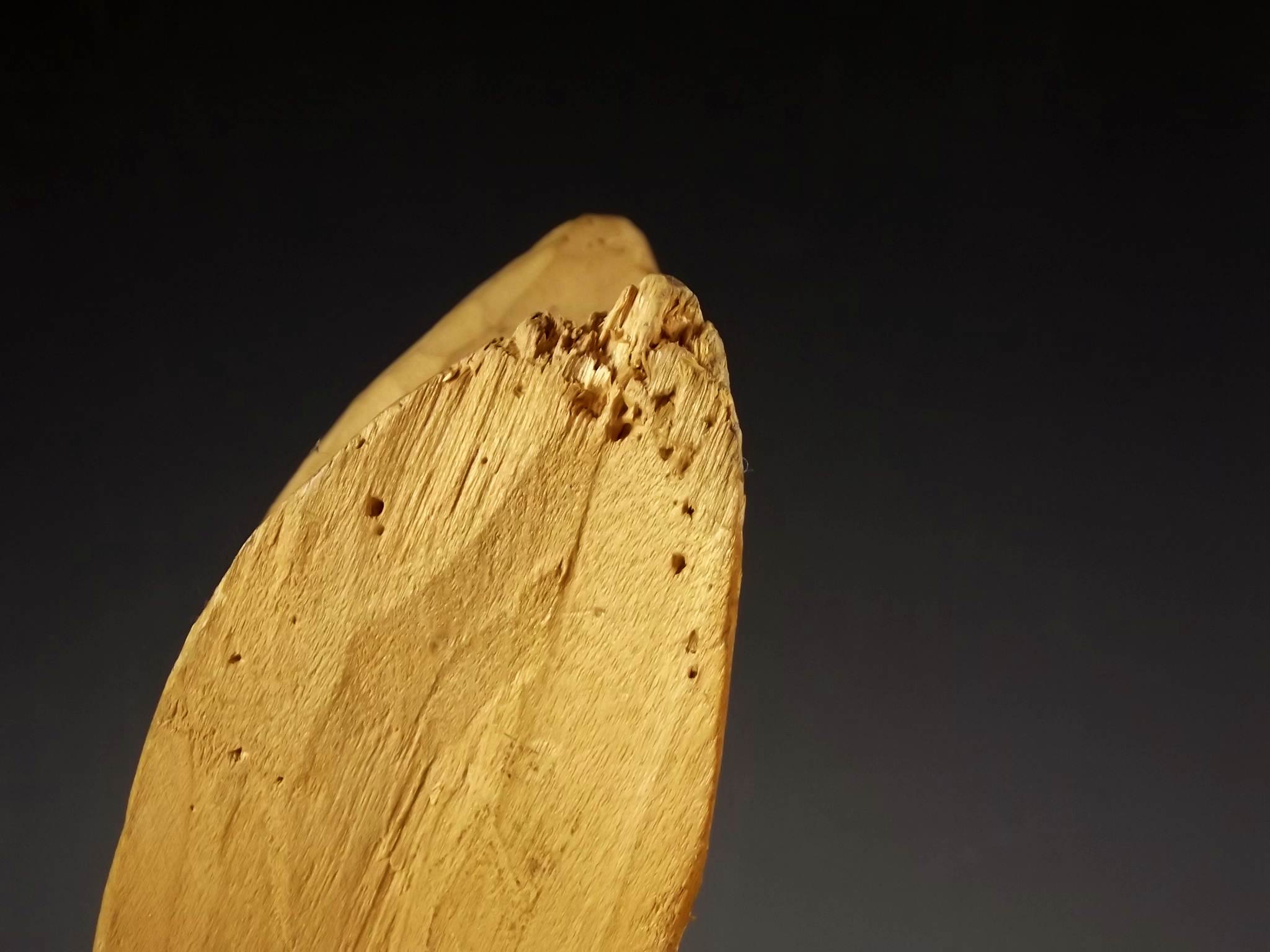 Pair of Wood Rabbits