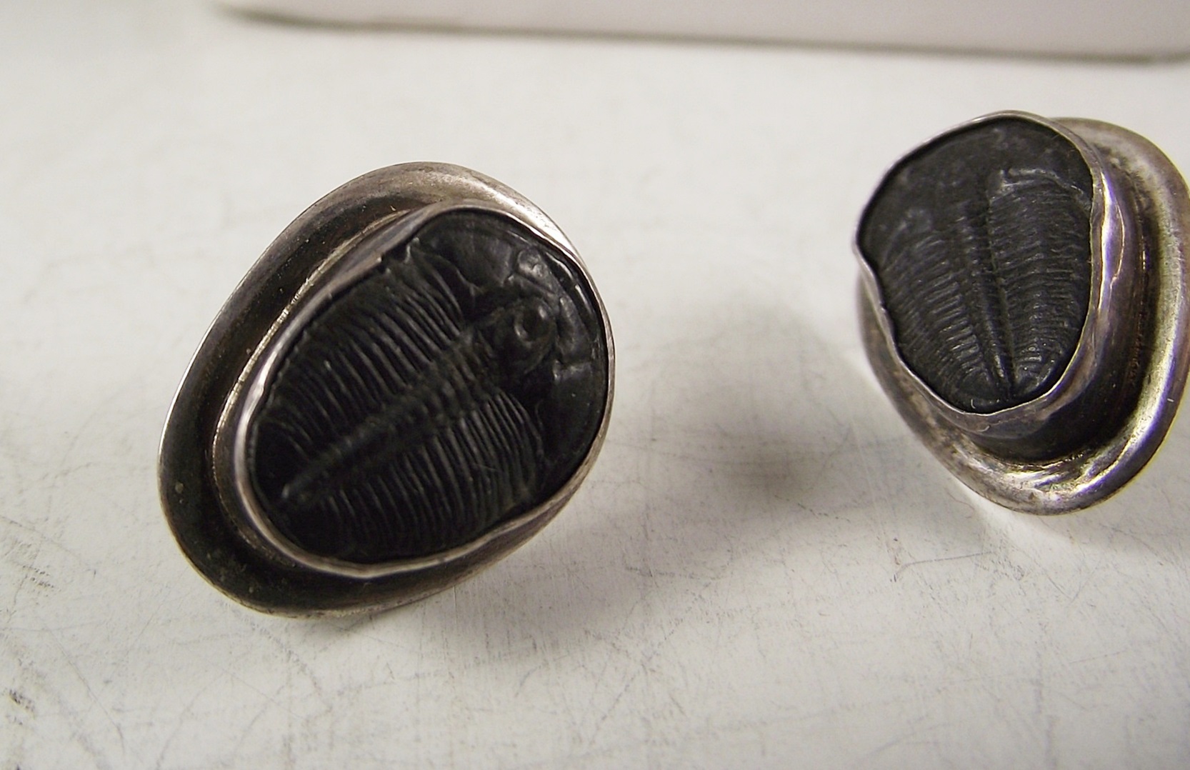 Trilobite Styled Jewelry Pieces