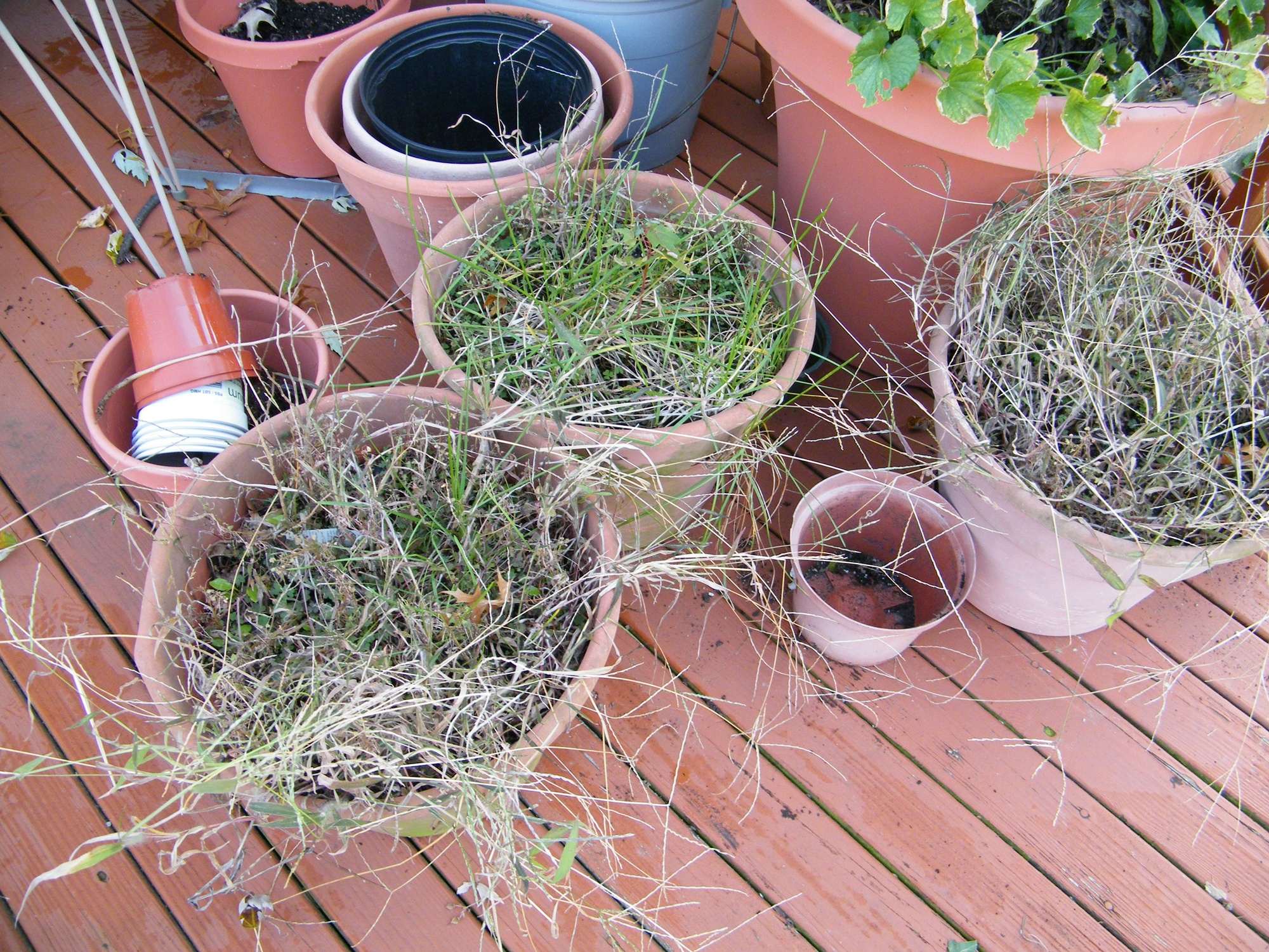 Garden Pots, Chairs, Tools