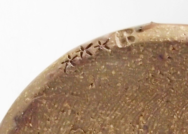 Pottery Carafe in Neutral Colors