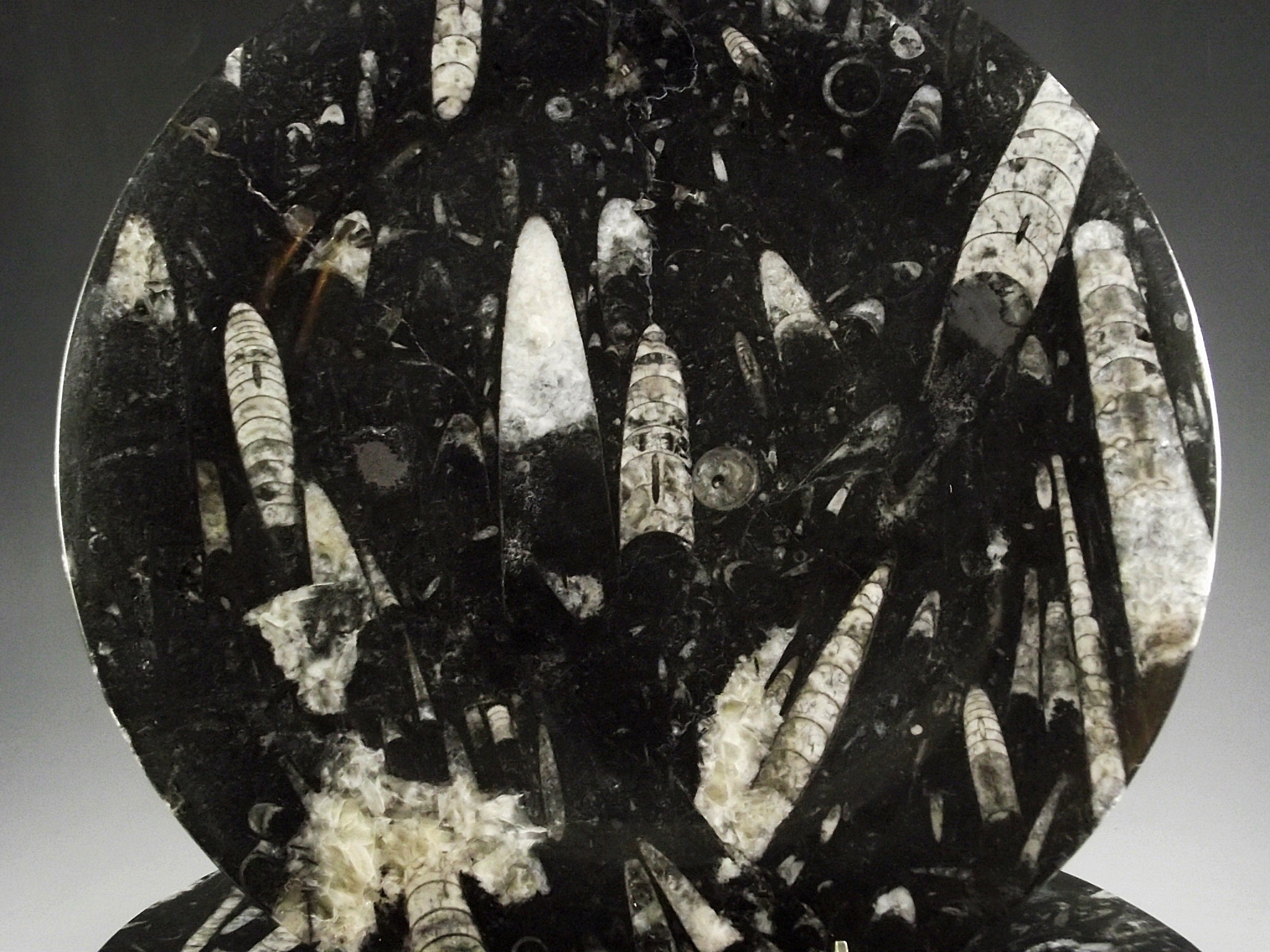 Set of Six Black and Ivory Marble Chargers 