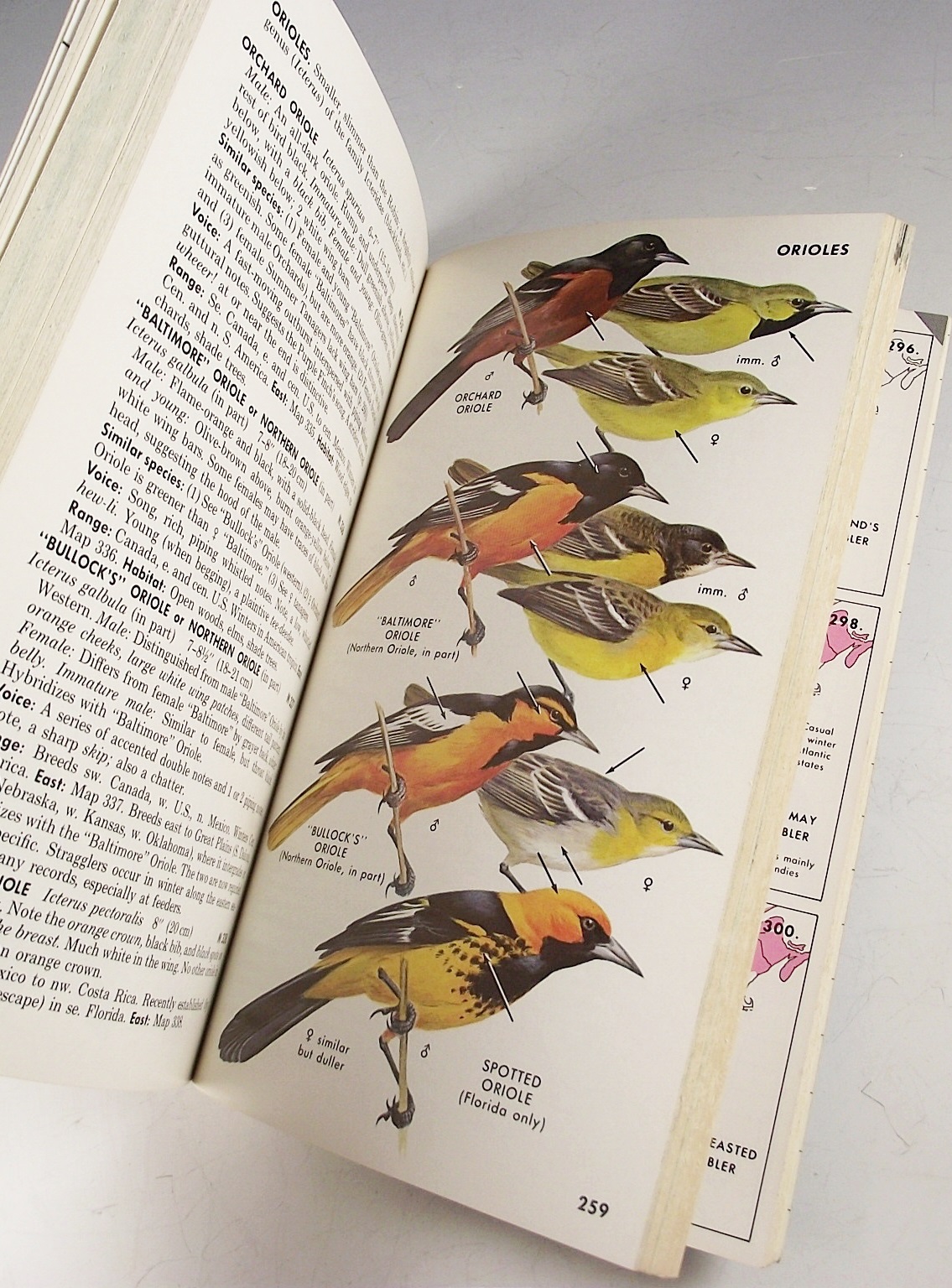 Books on the Subject of Birds