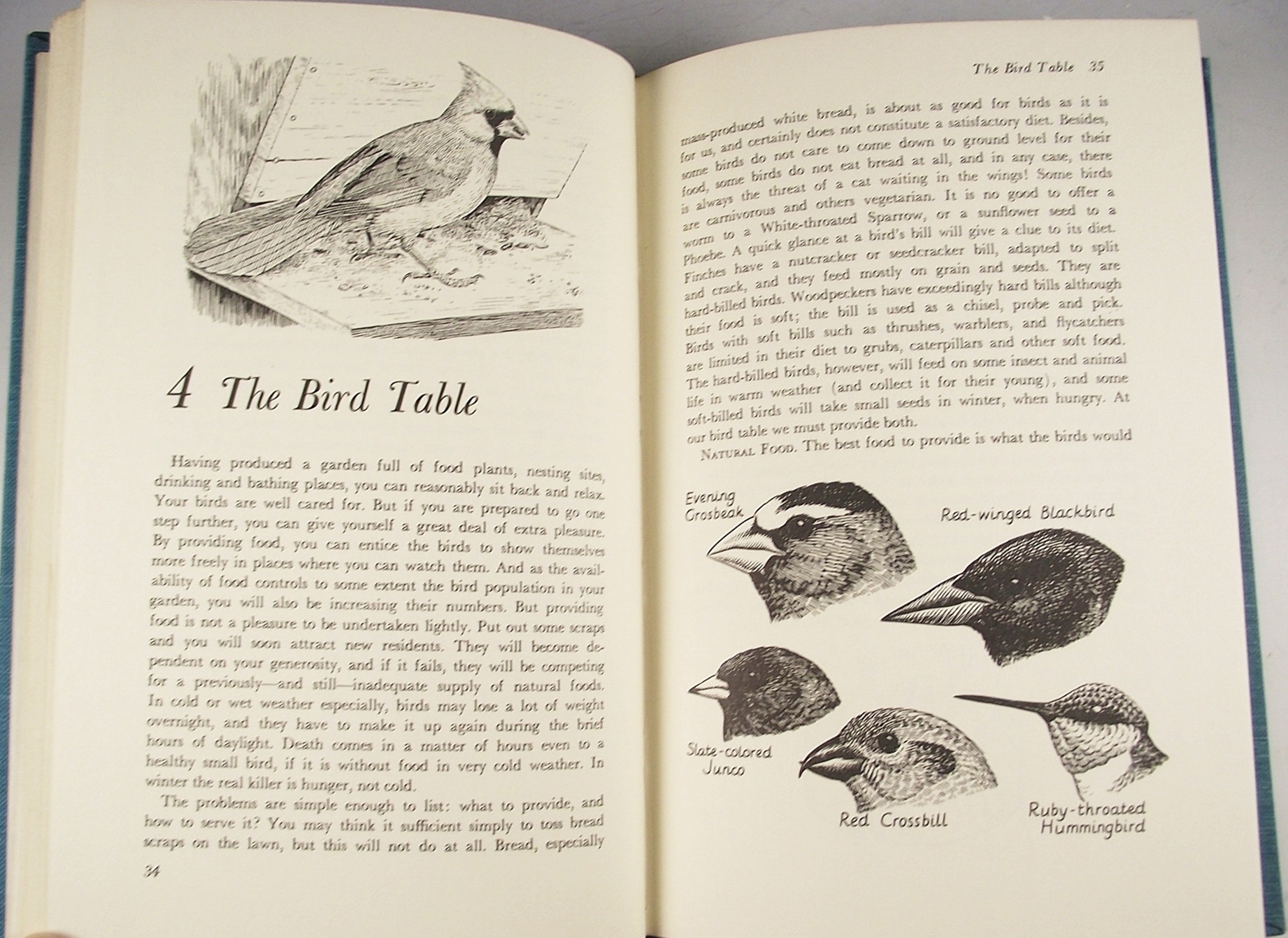 Books on the Subject of Birds