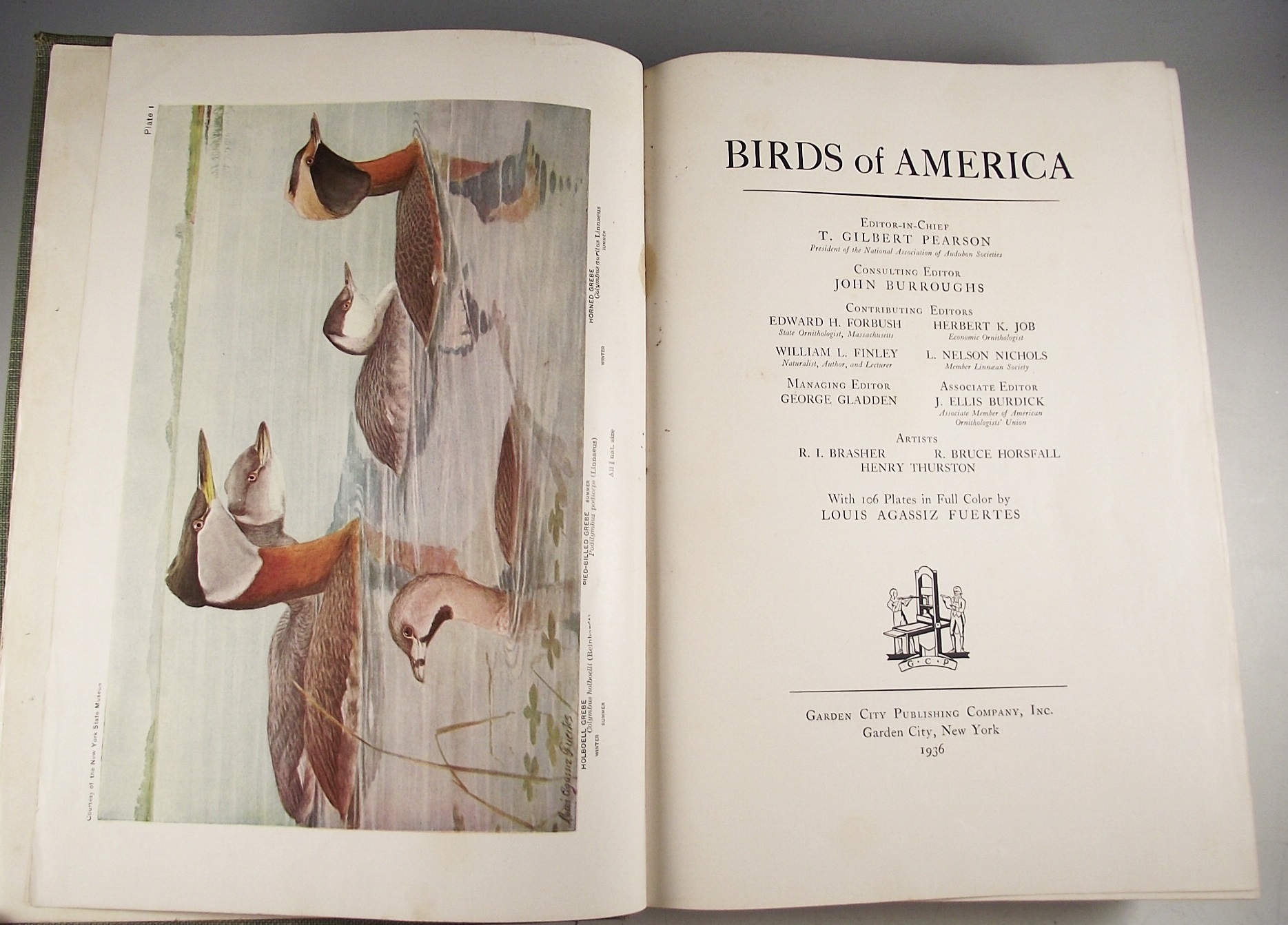 Books on the Subject of Birds