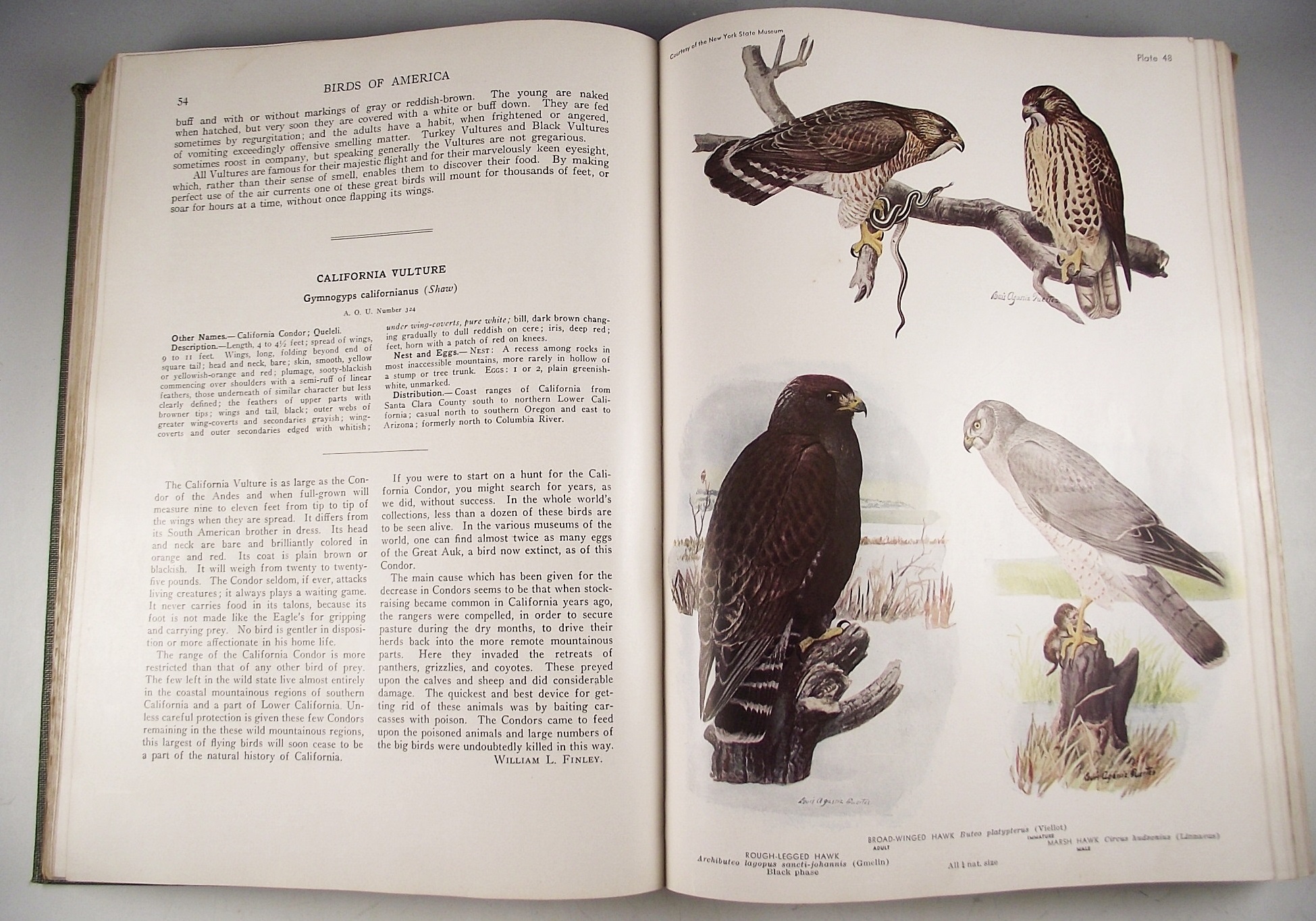 Books on the Subject of Birds
