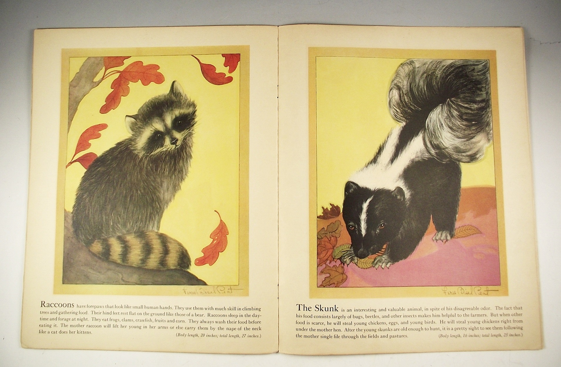 Circa 1930s Collection of Children's Books Illustrated by Ferie Bisel Peat