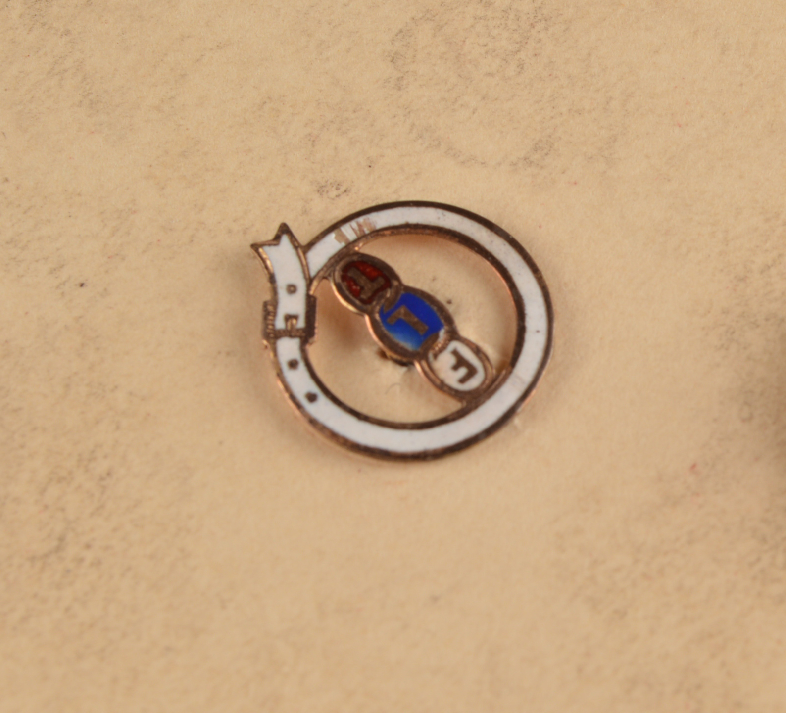 Historical Vintage Fraternal Order Pin Collection