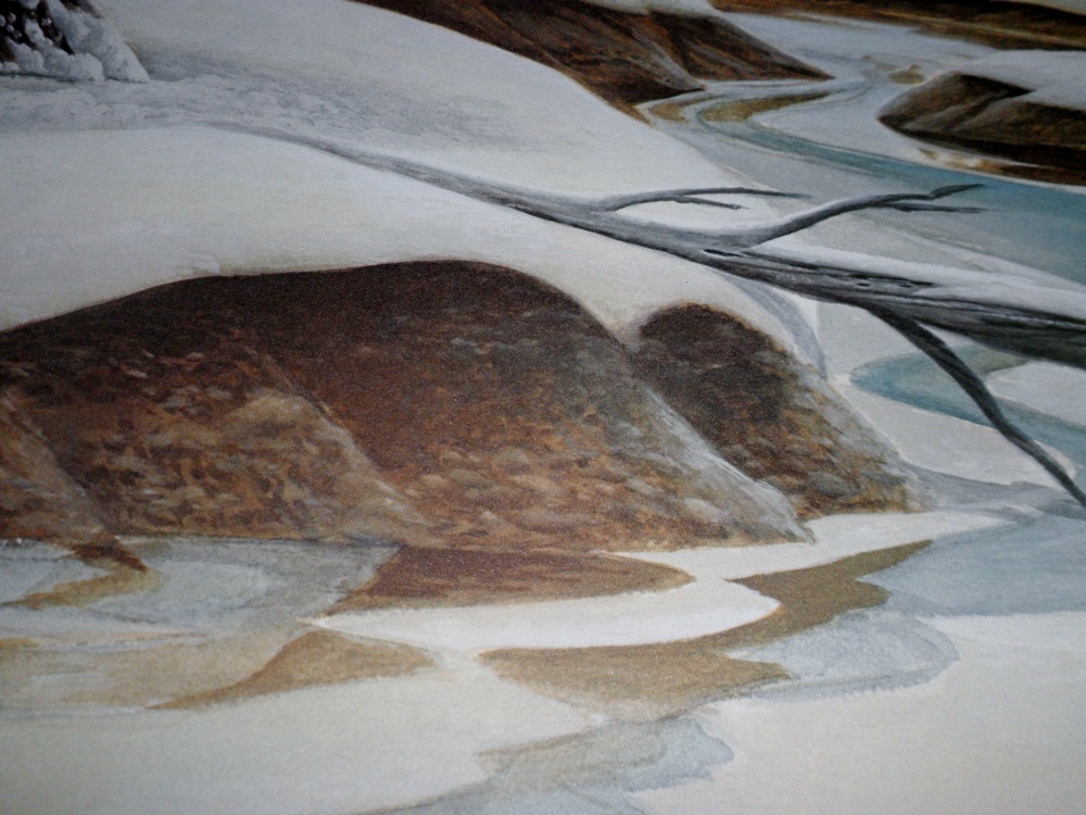 Ruthven's "American Bison"