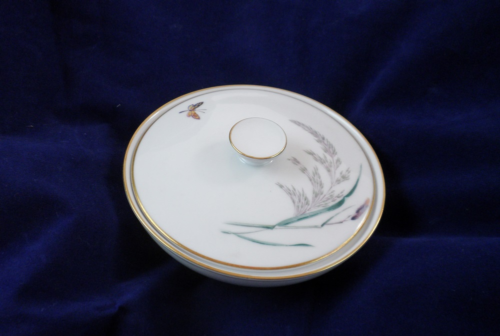 Vintage Selb Bavaria China 