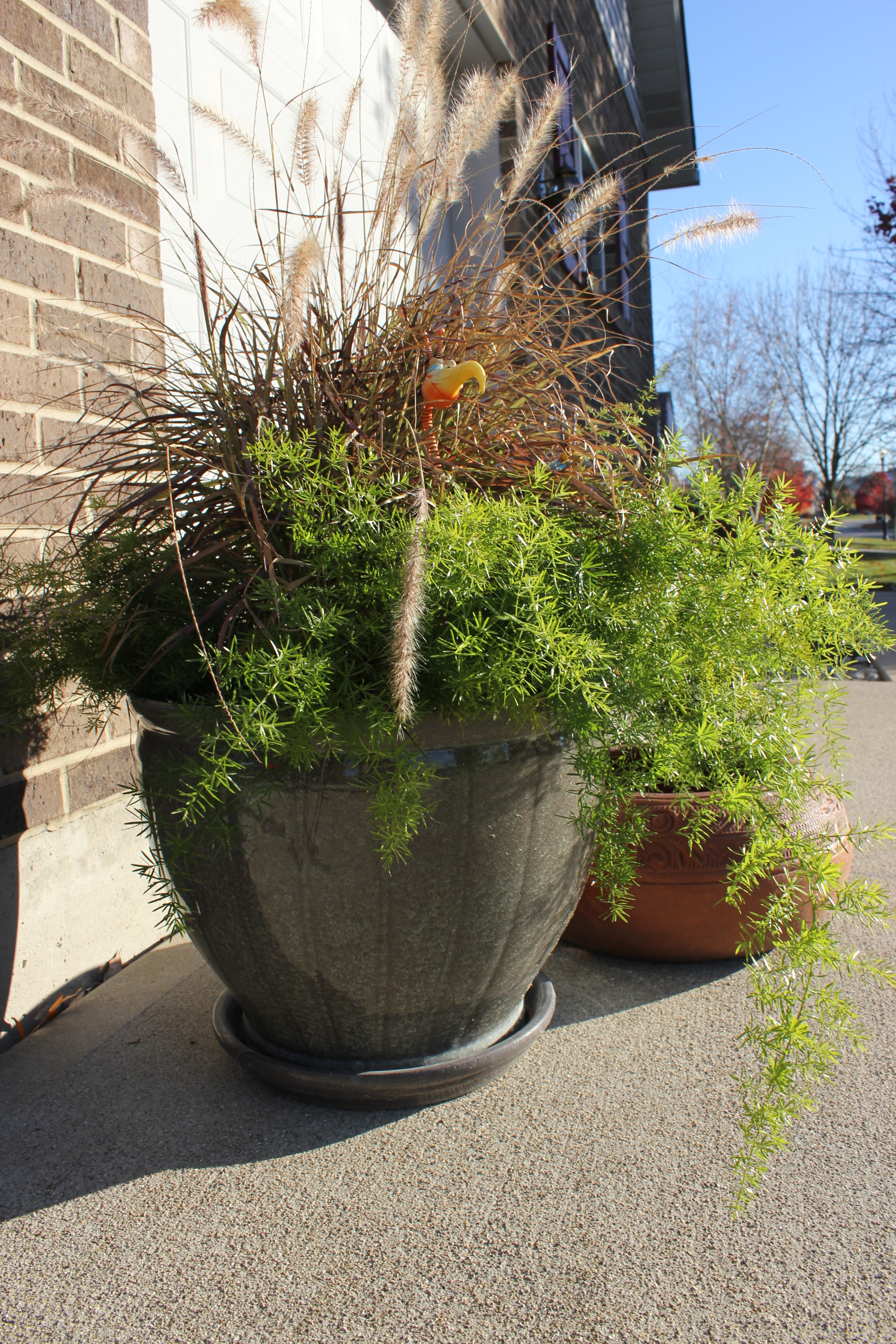 Glazed Ceramic Planter & Terra Cotta Garden Hose Pot