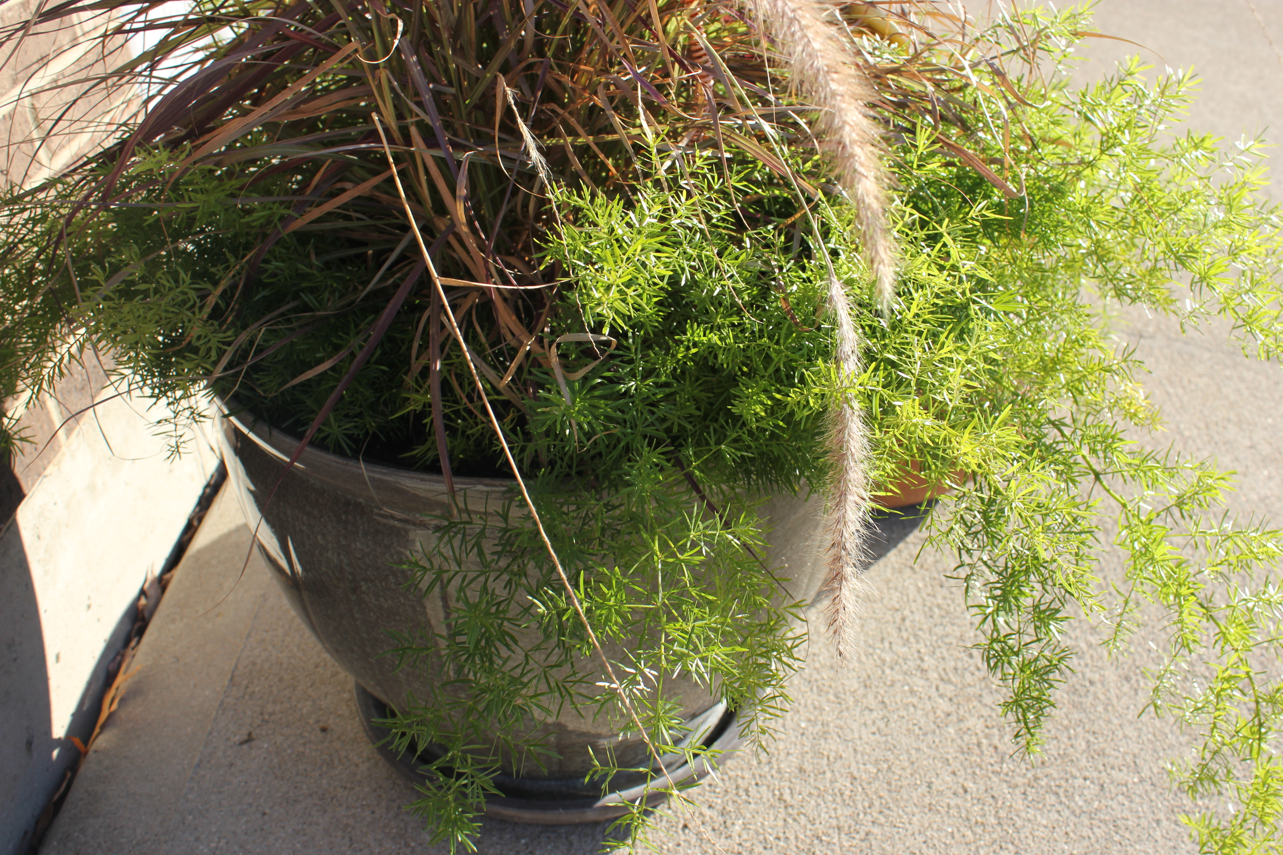Glazed Ceramic Planter & Terra Cotta Garden Hose Pot