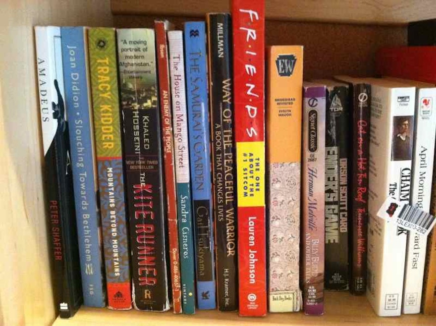 Collection of Young Adult Novels