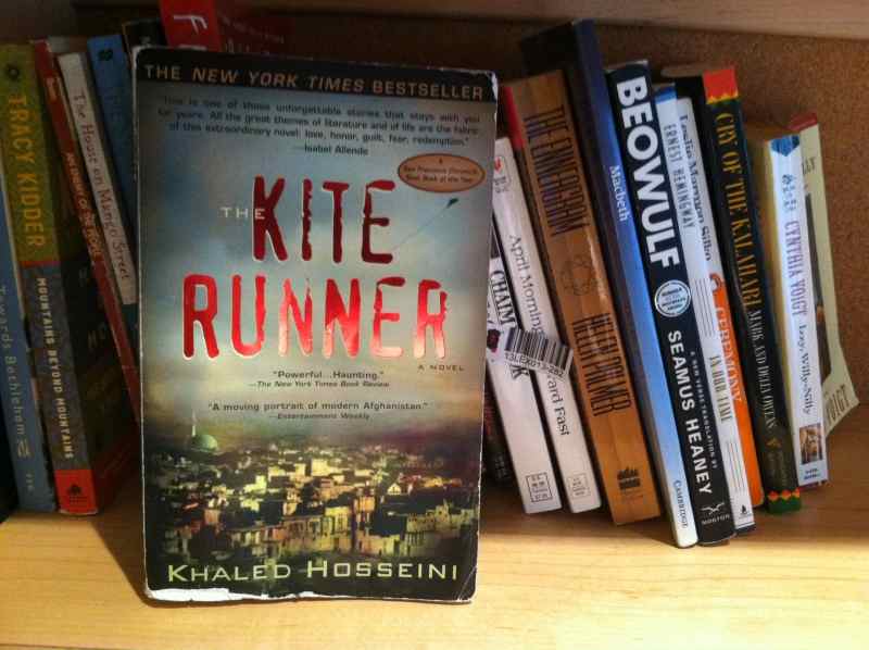 Collection of Young Adult Novels