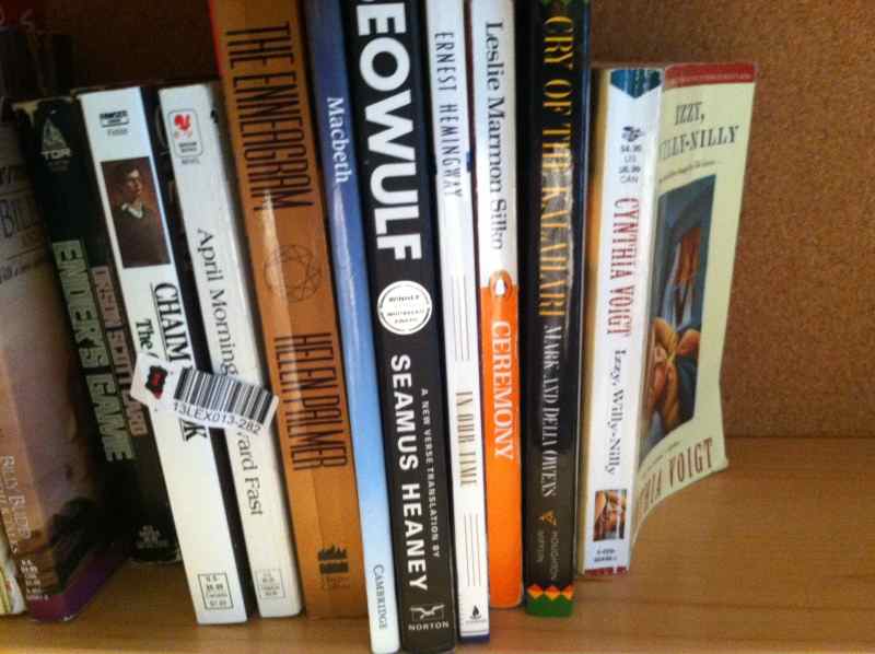 Collection of Young Adult Novels