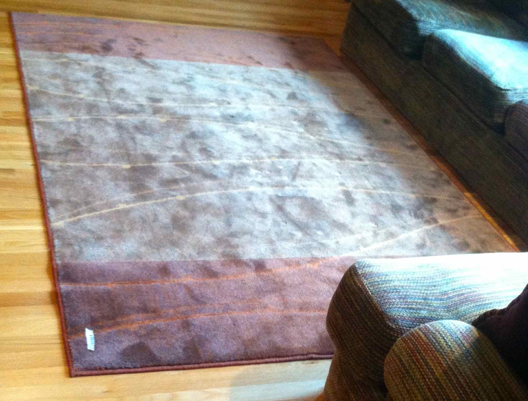 Shaw Living's Sandbar-Style Orchid Area Rug