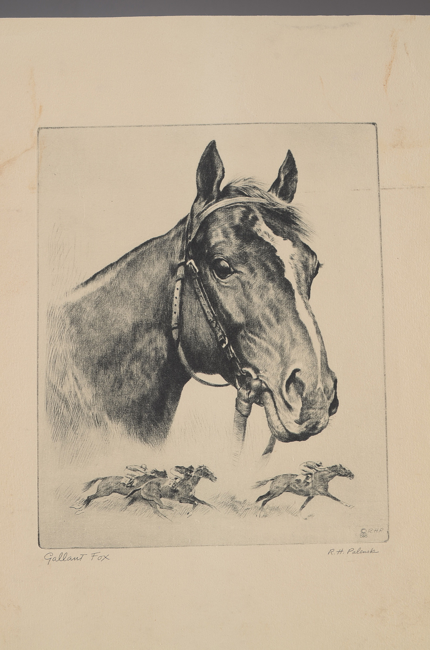 Etching Print of Thoroughbred Champion Gallant Fox by R. H. Palenske